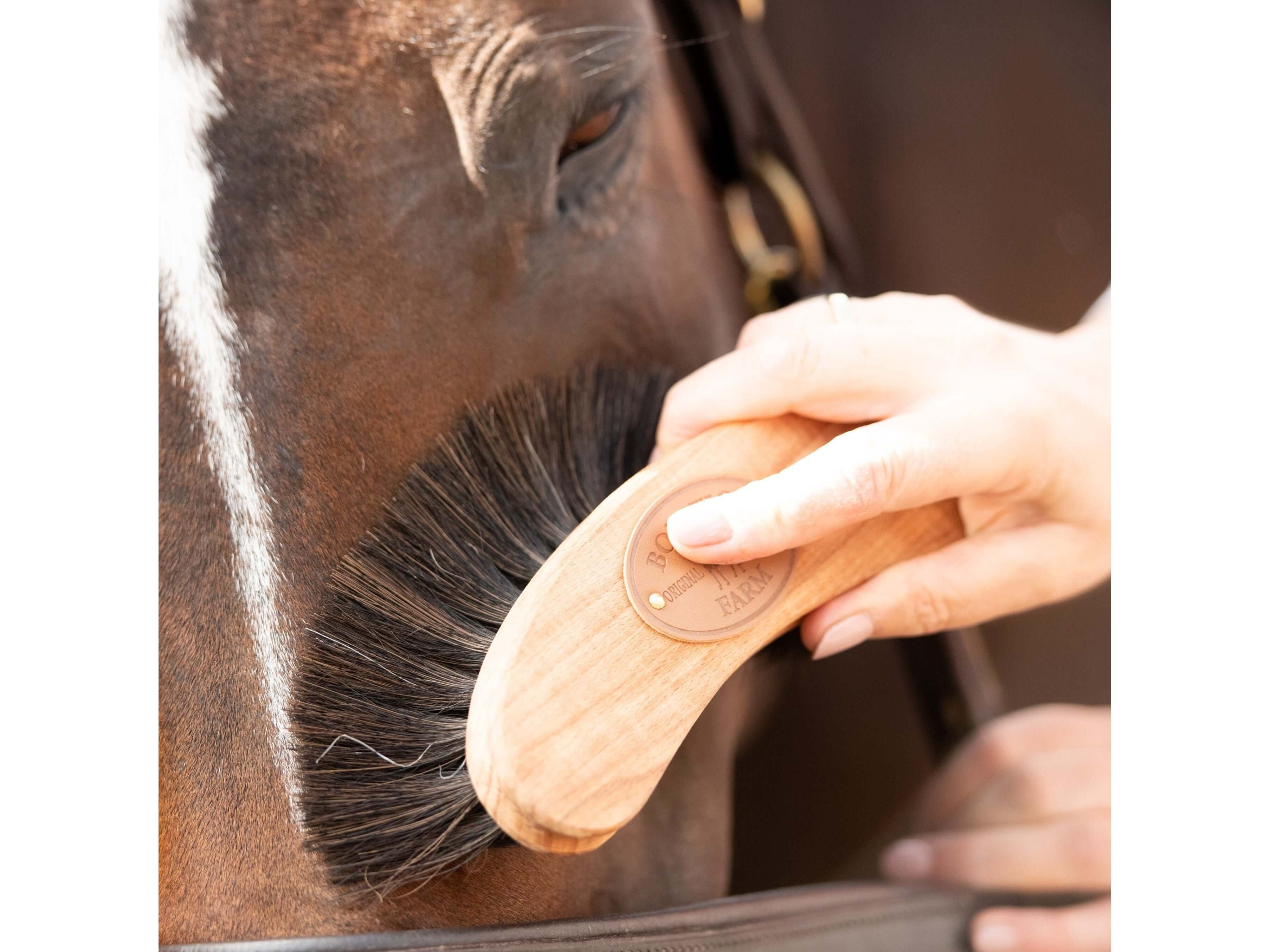 borstiq banana finishing brush - equestrian equipment