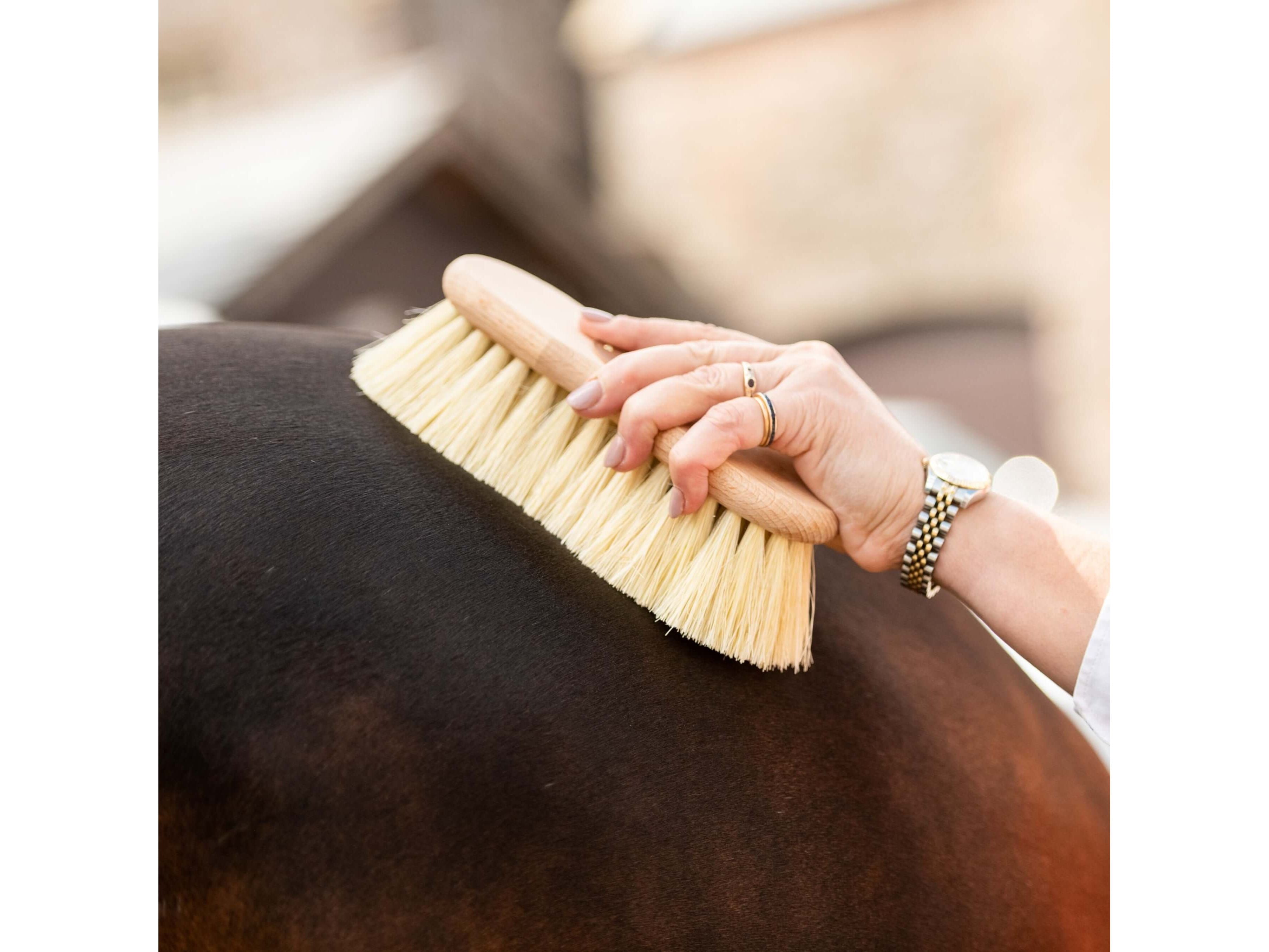borstiq shaped mex fibre brush - equestrian equipment