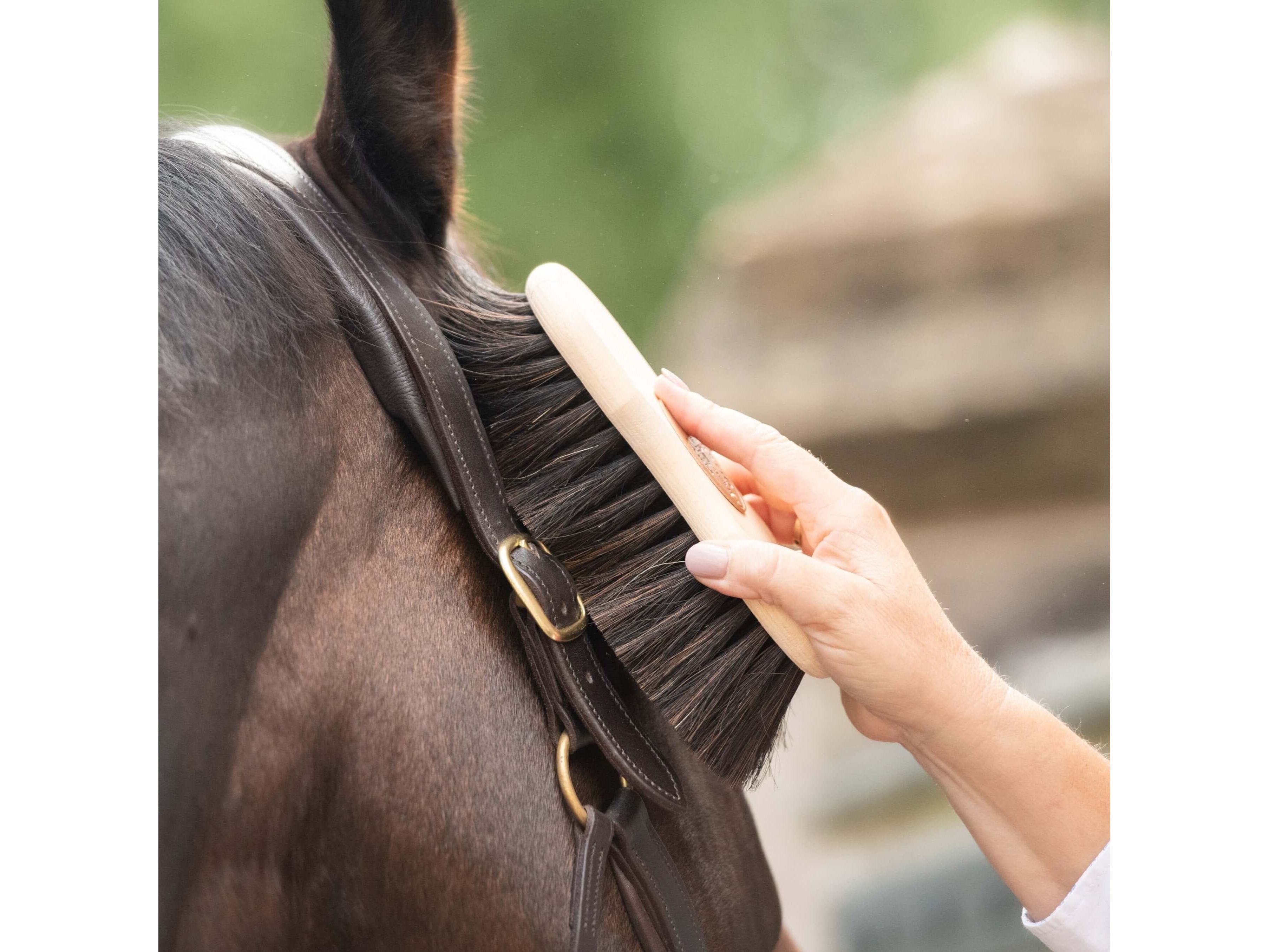 borstiq shaped finishing brush - equestrian equipment