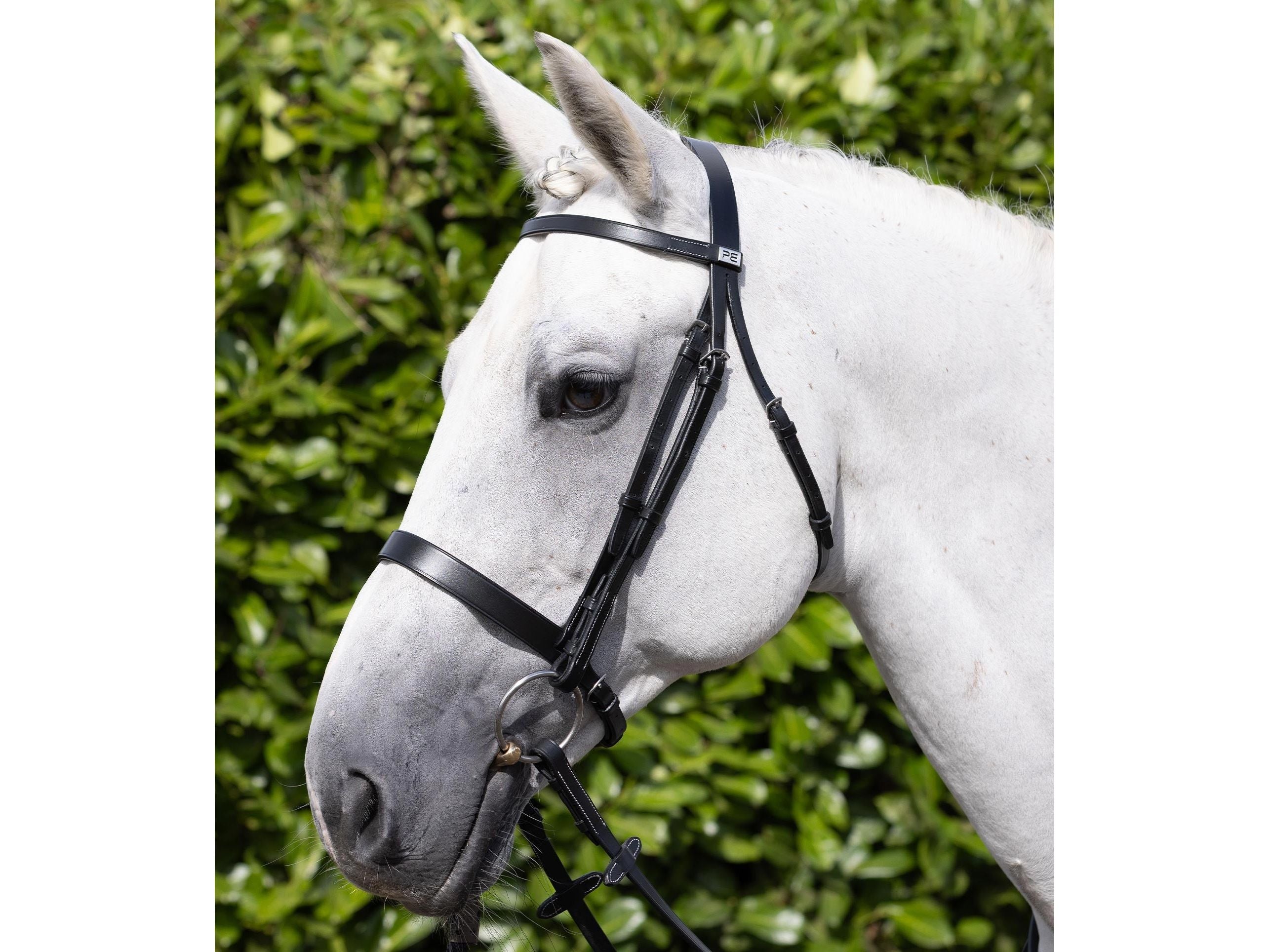 Hunter Bridle