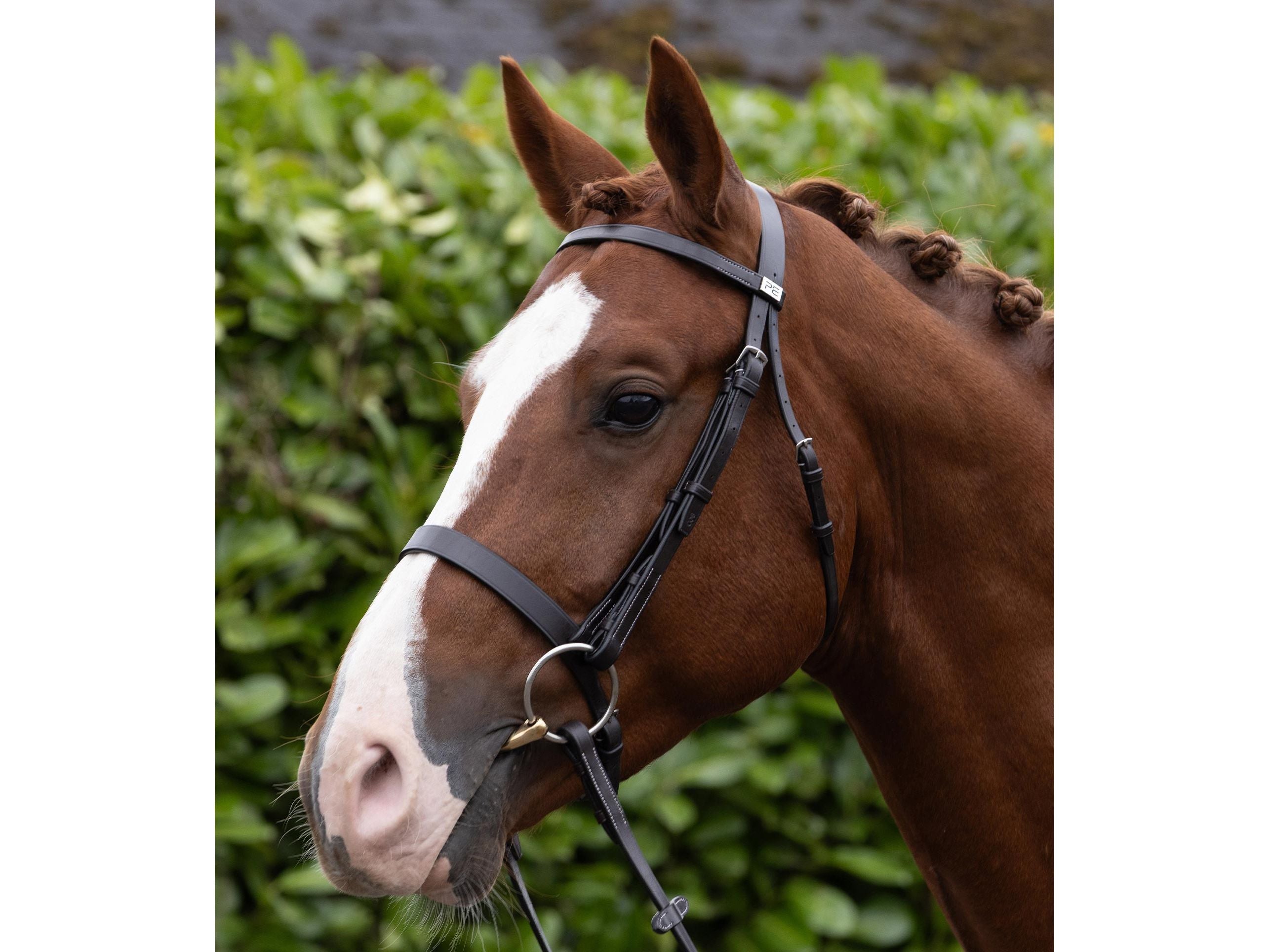 Hunter Bridle