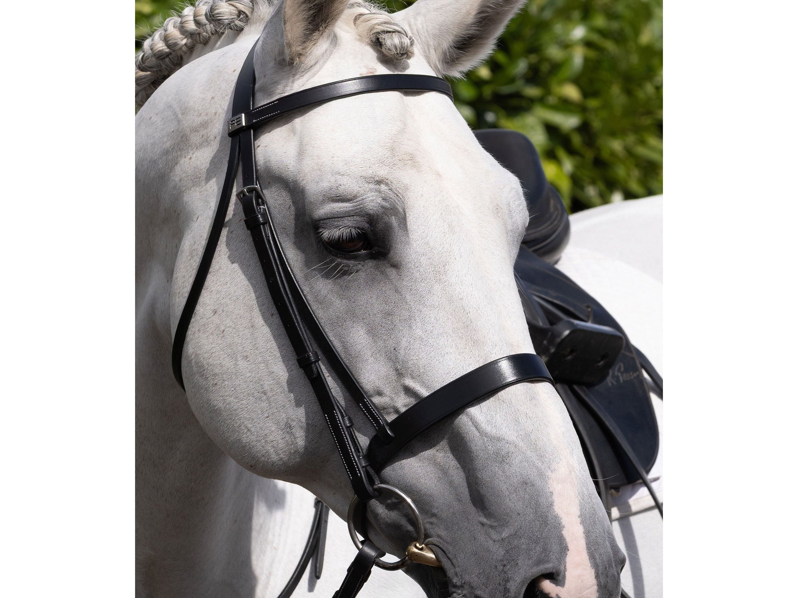 Hunter Cavesson Noseband