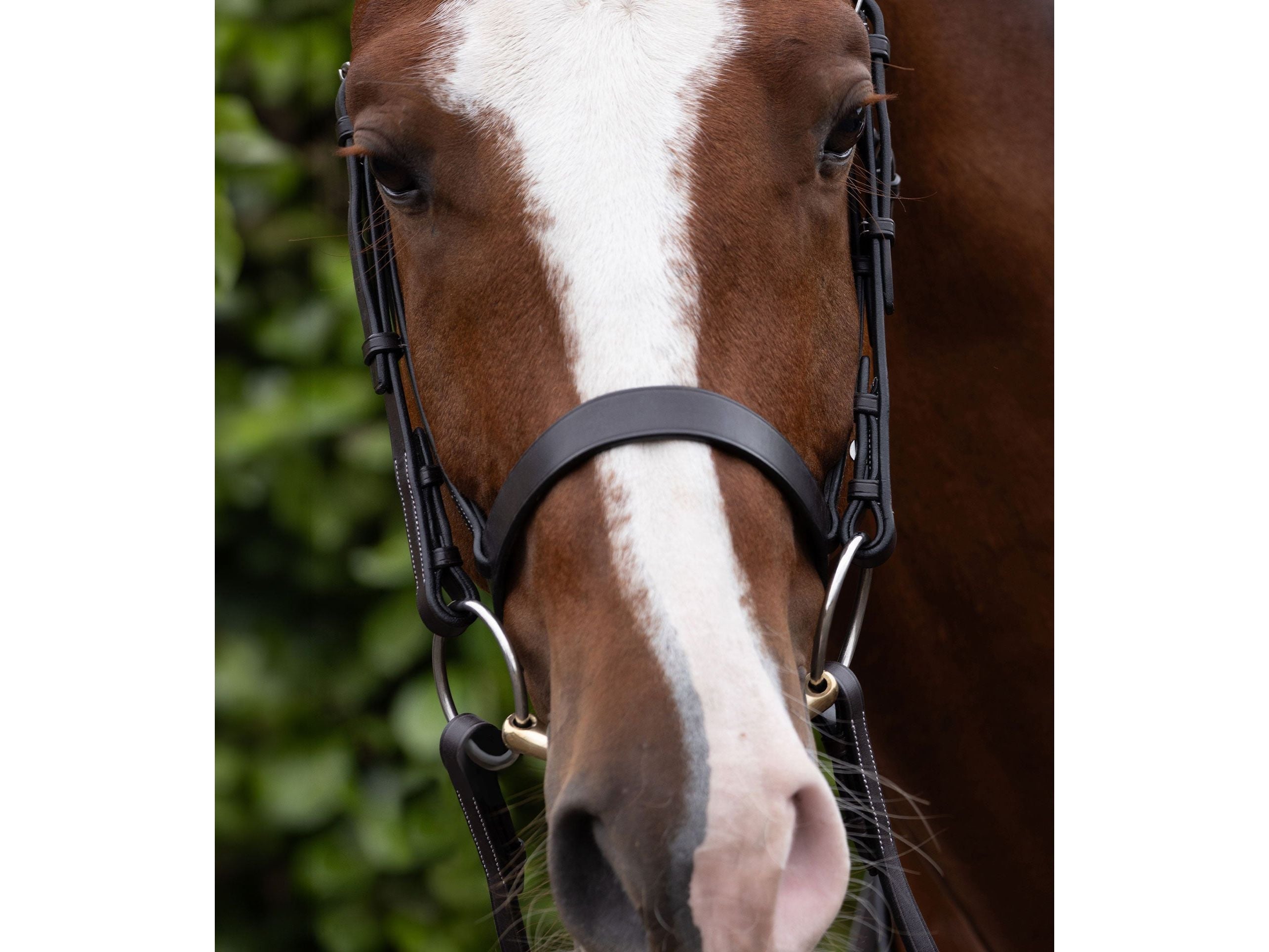 Hunter Cavesson Noseband