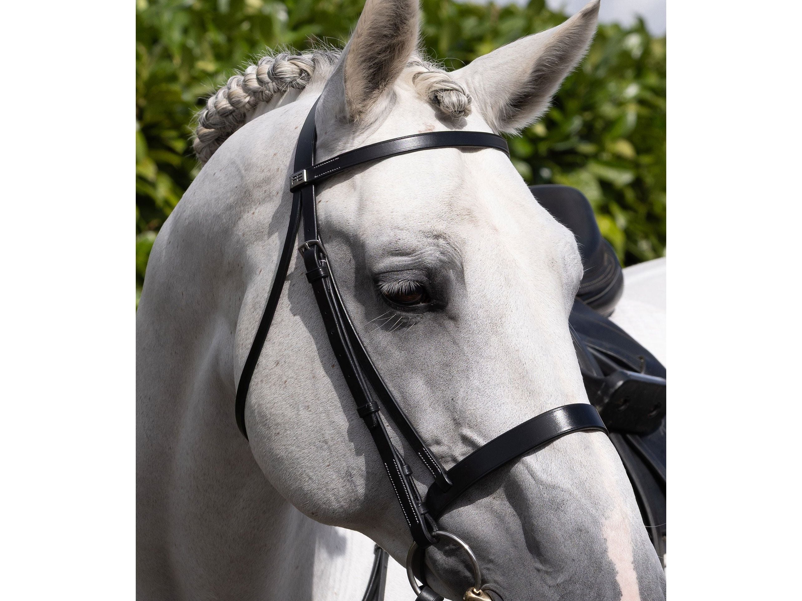 Hunter Plain Bridle Headpiece