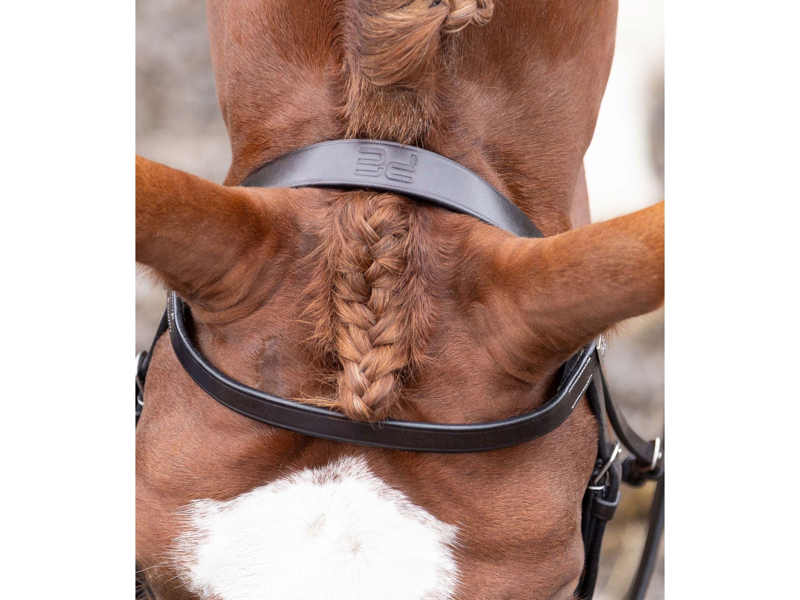 Hunter Plain Bridle Headpiece
