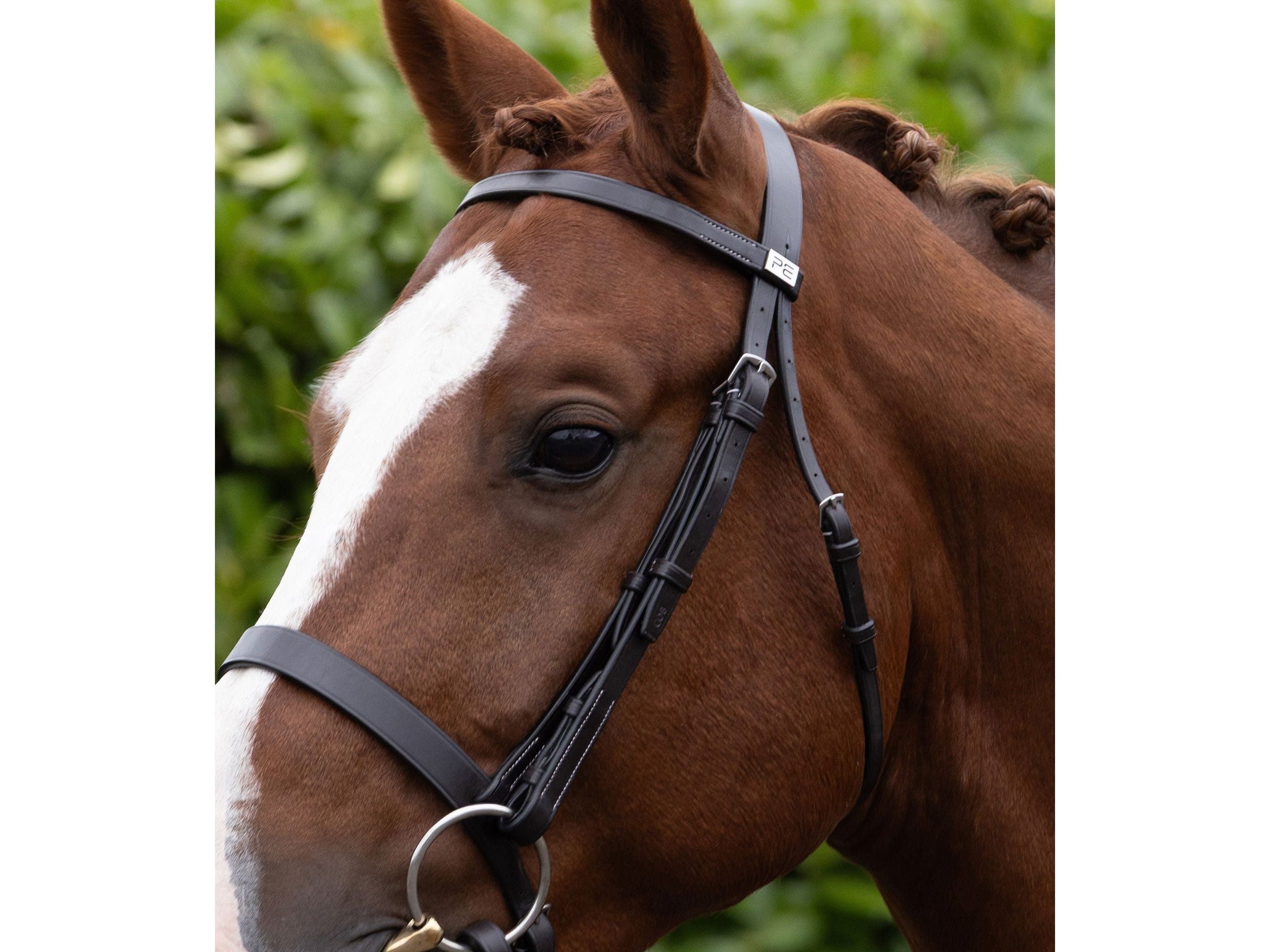 Hunter Plain Bridle Headpiece