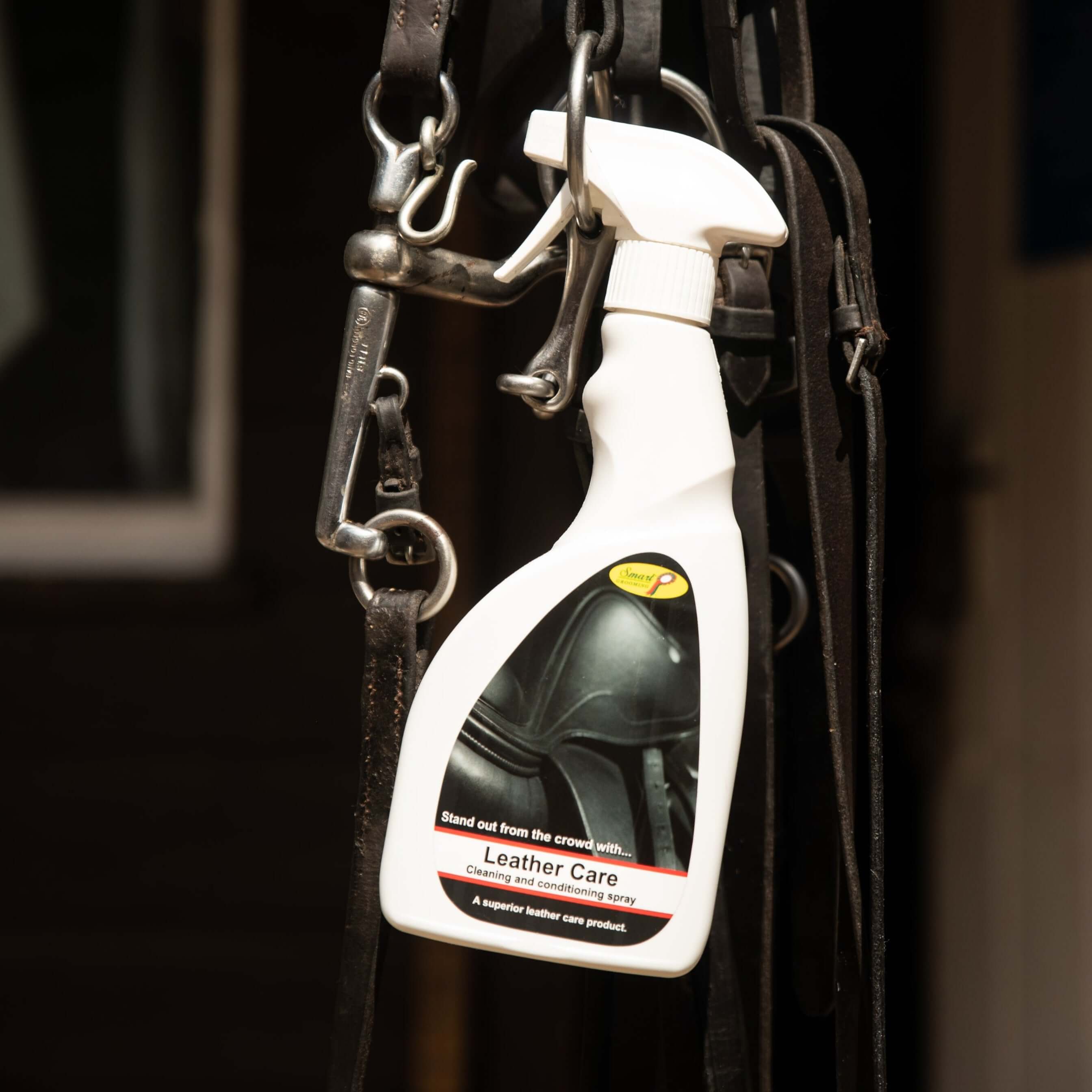 leather care - equestrian equipment
