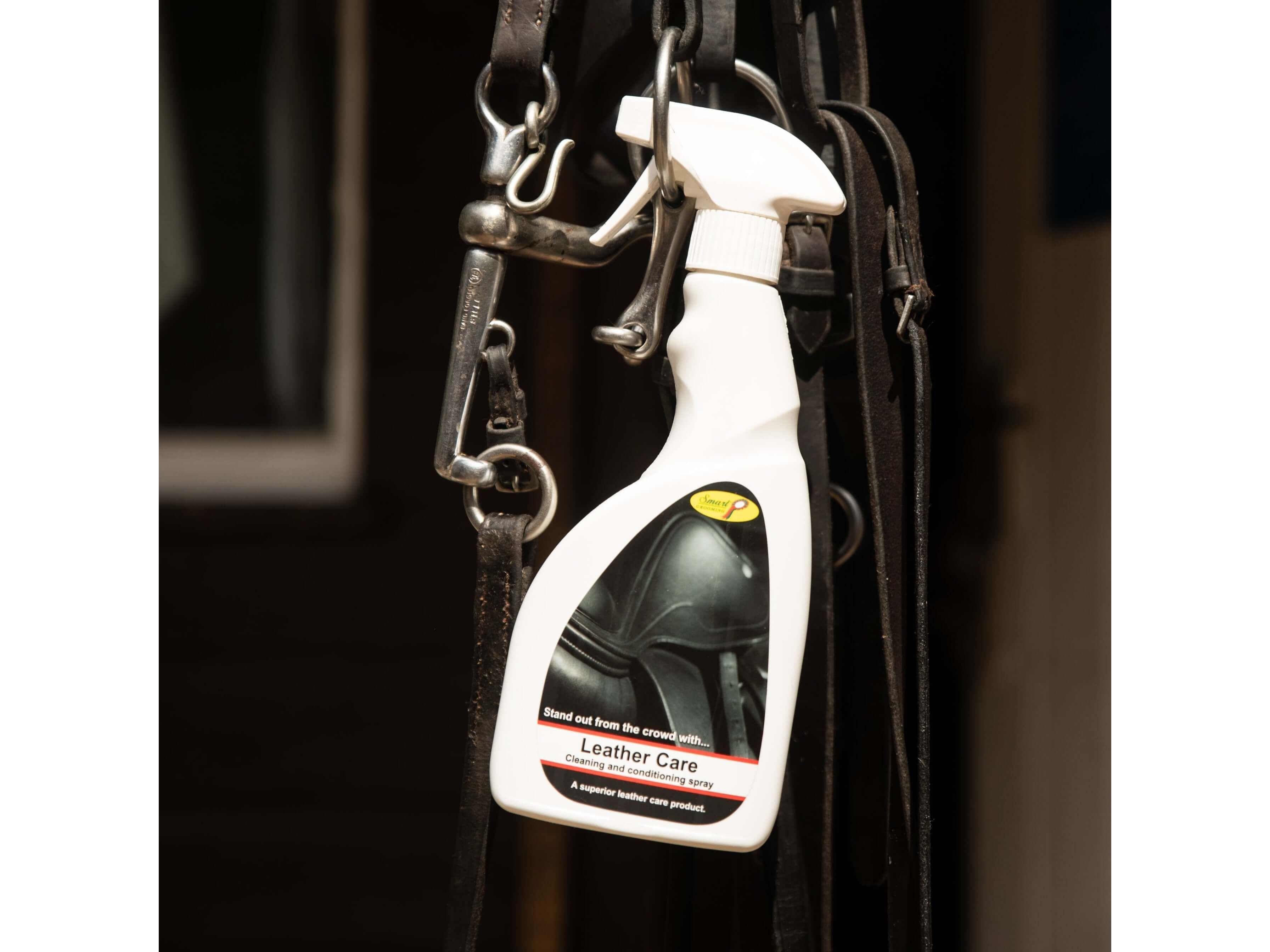 leather care - equestrian equipment