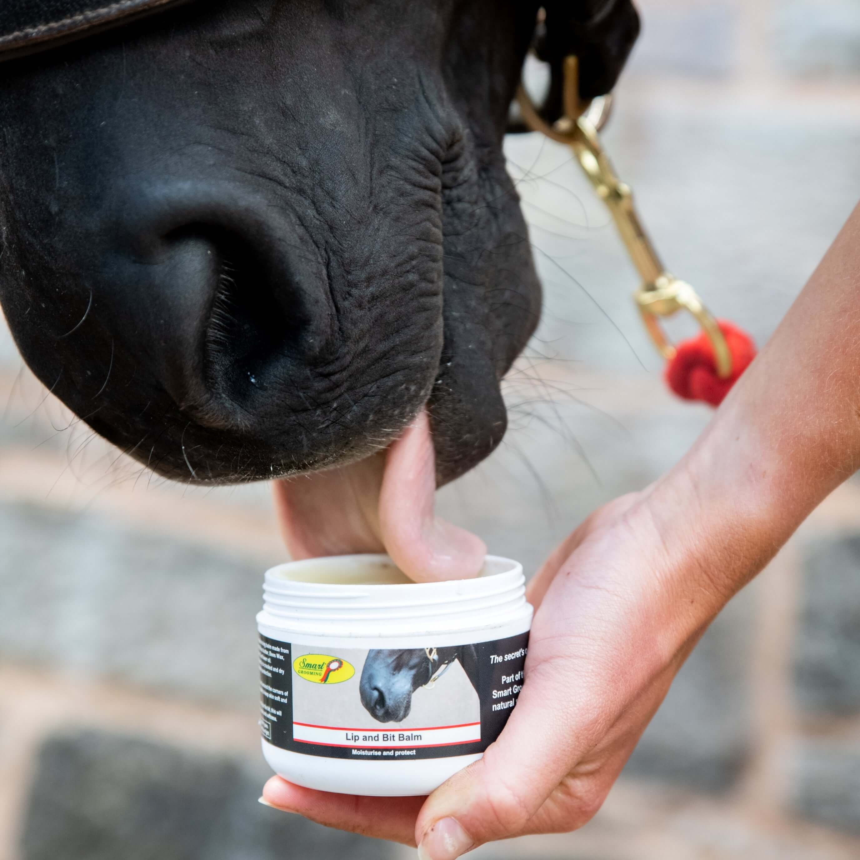 lip and bit balm 120g - equestrian equipment