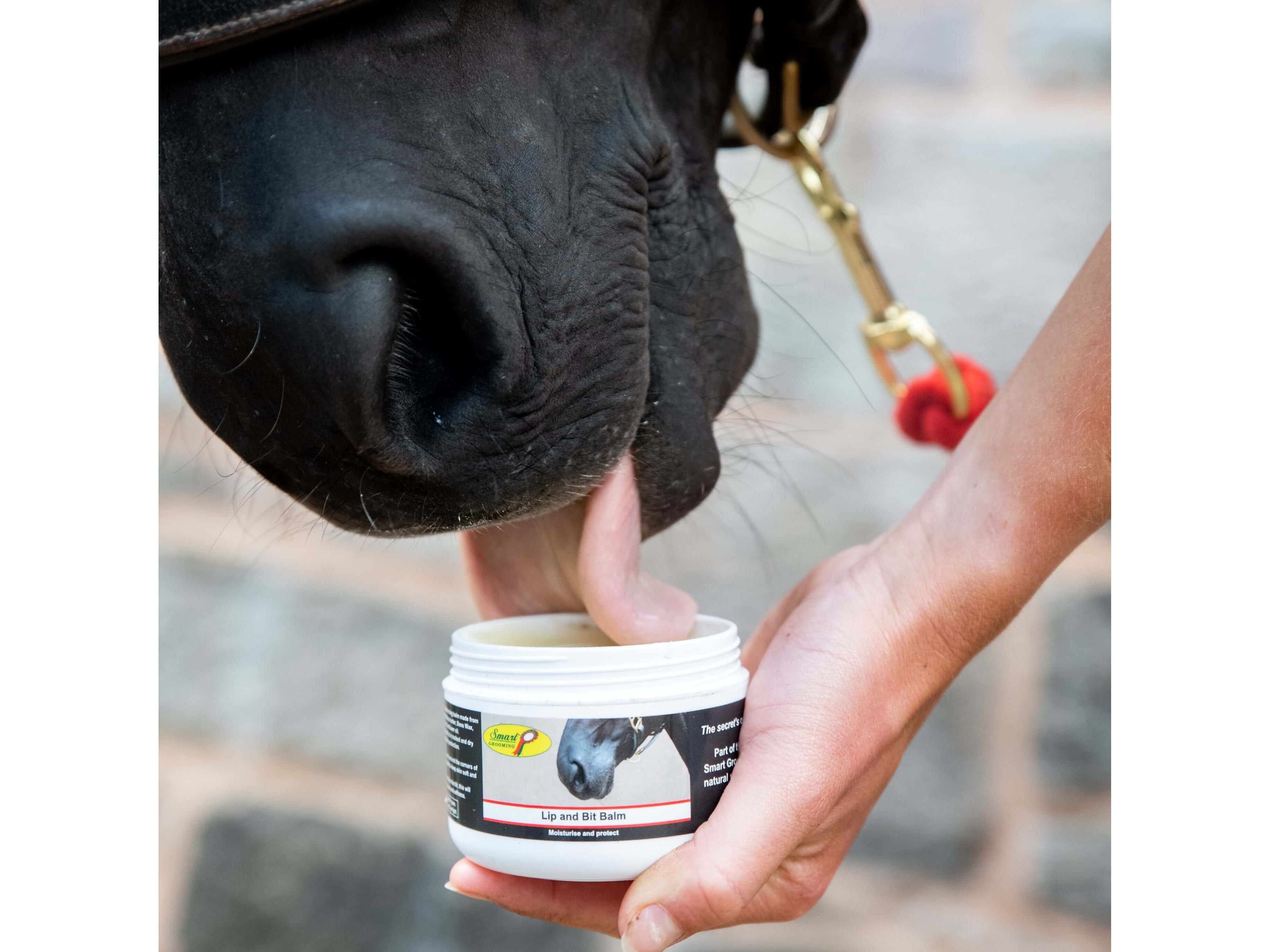 lip and bit balm 120g - equestrian equipment