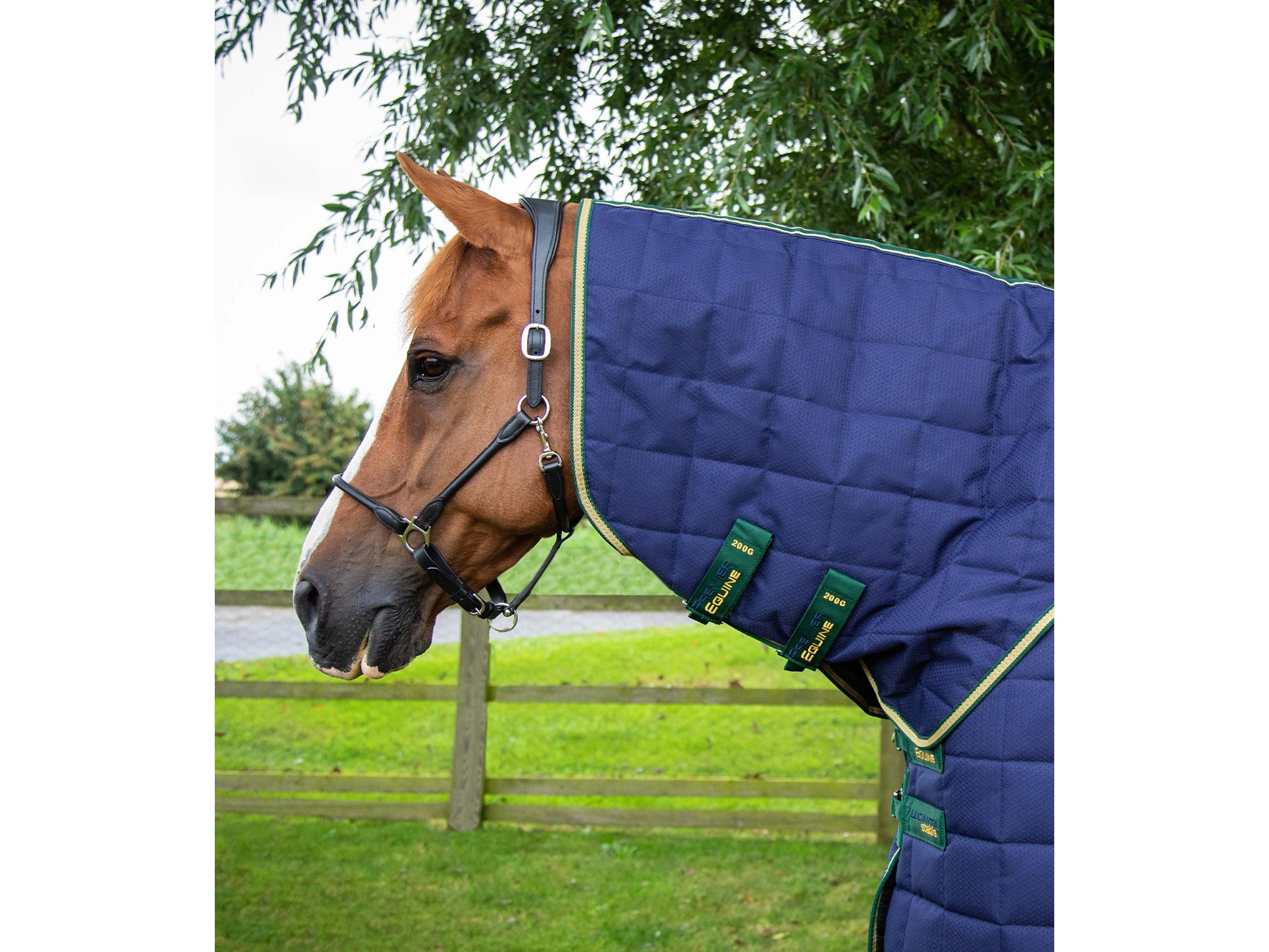 Lucanta 450g Stable Rug with Neck Cover
