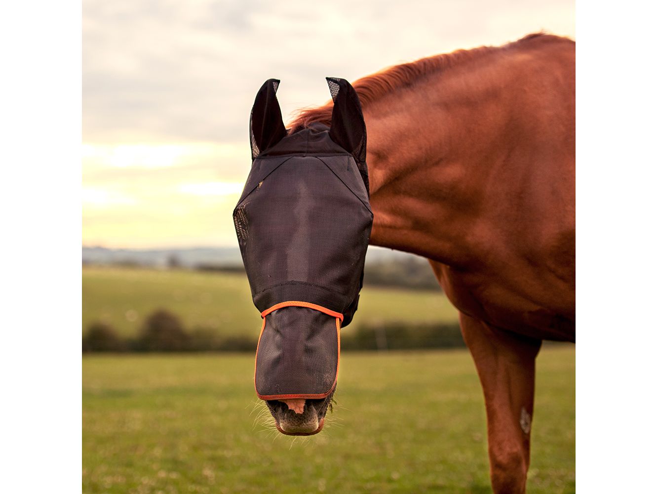 Equilibrium Field Relief Max Fly Mask