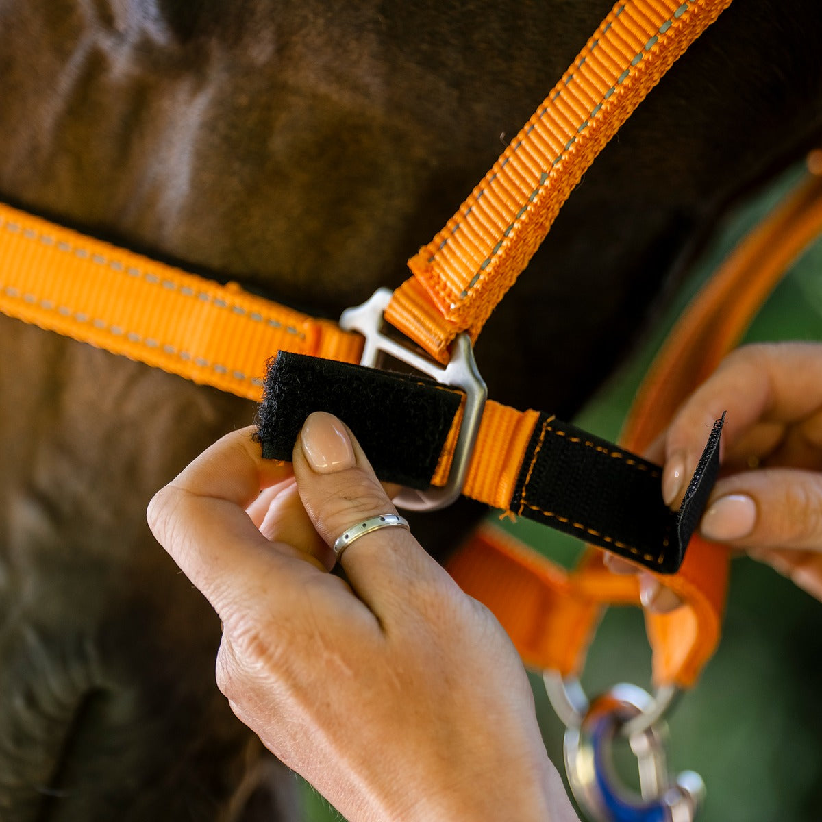 Fieldsafe Headcollar