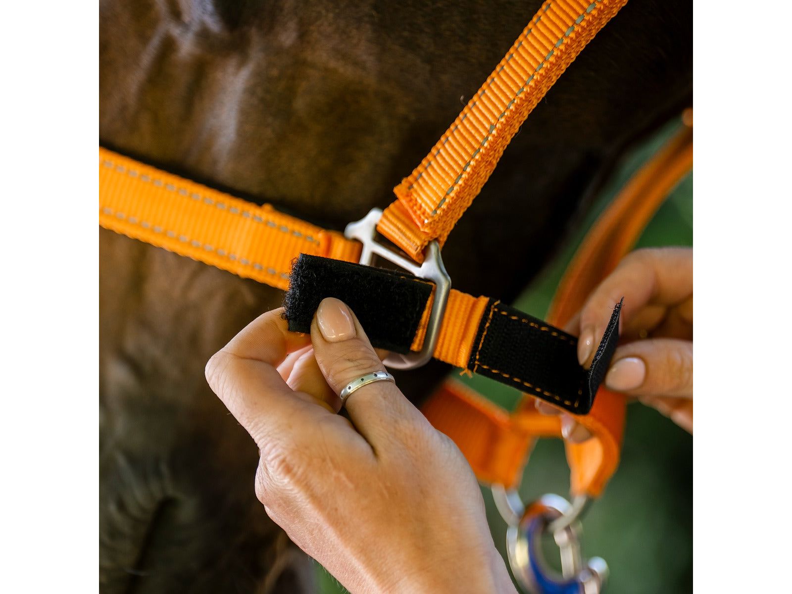 Fieldsafe Headcollar side view