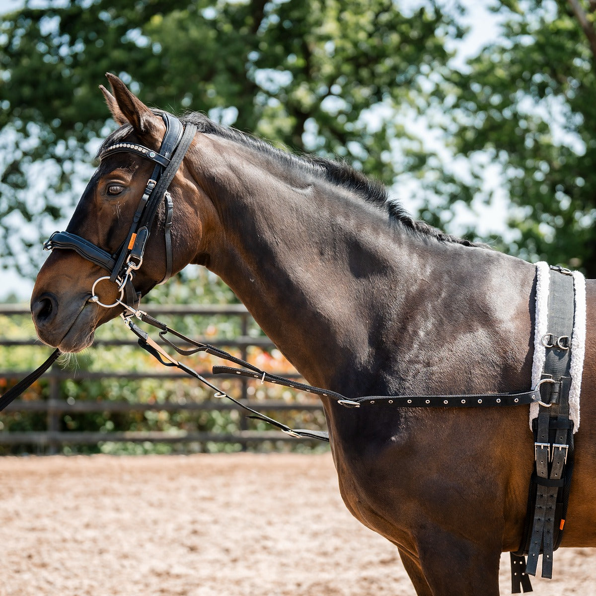 Side Reins