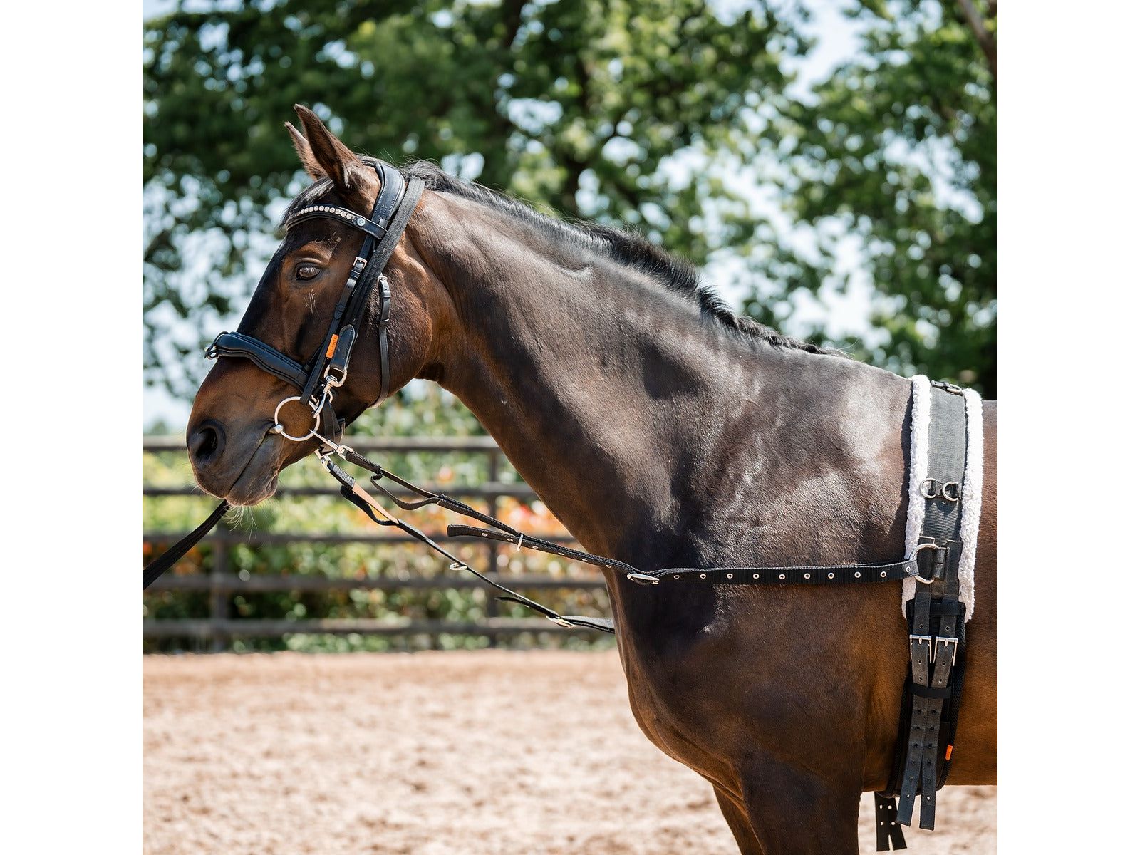 Side Reins detail view