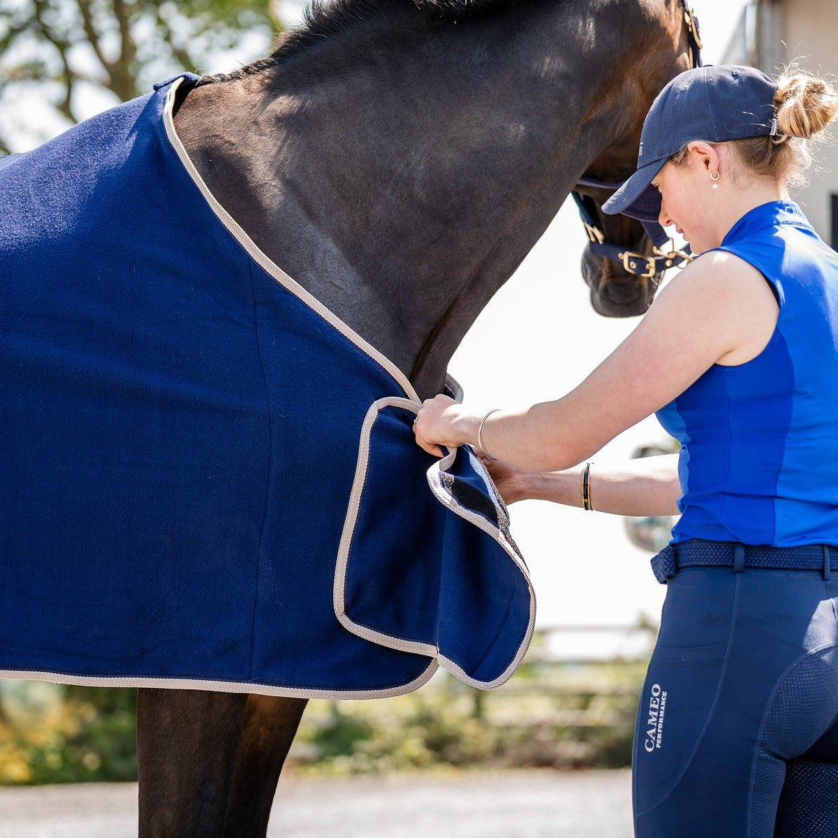 Elevate Show Rug