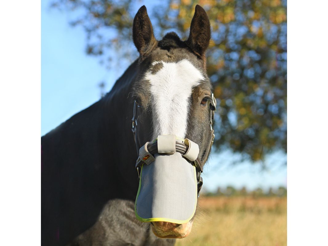 Equilibrium Field Relief Muzzle Protector