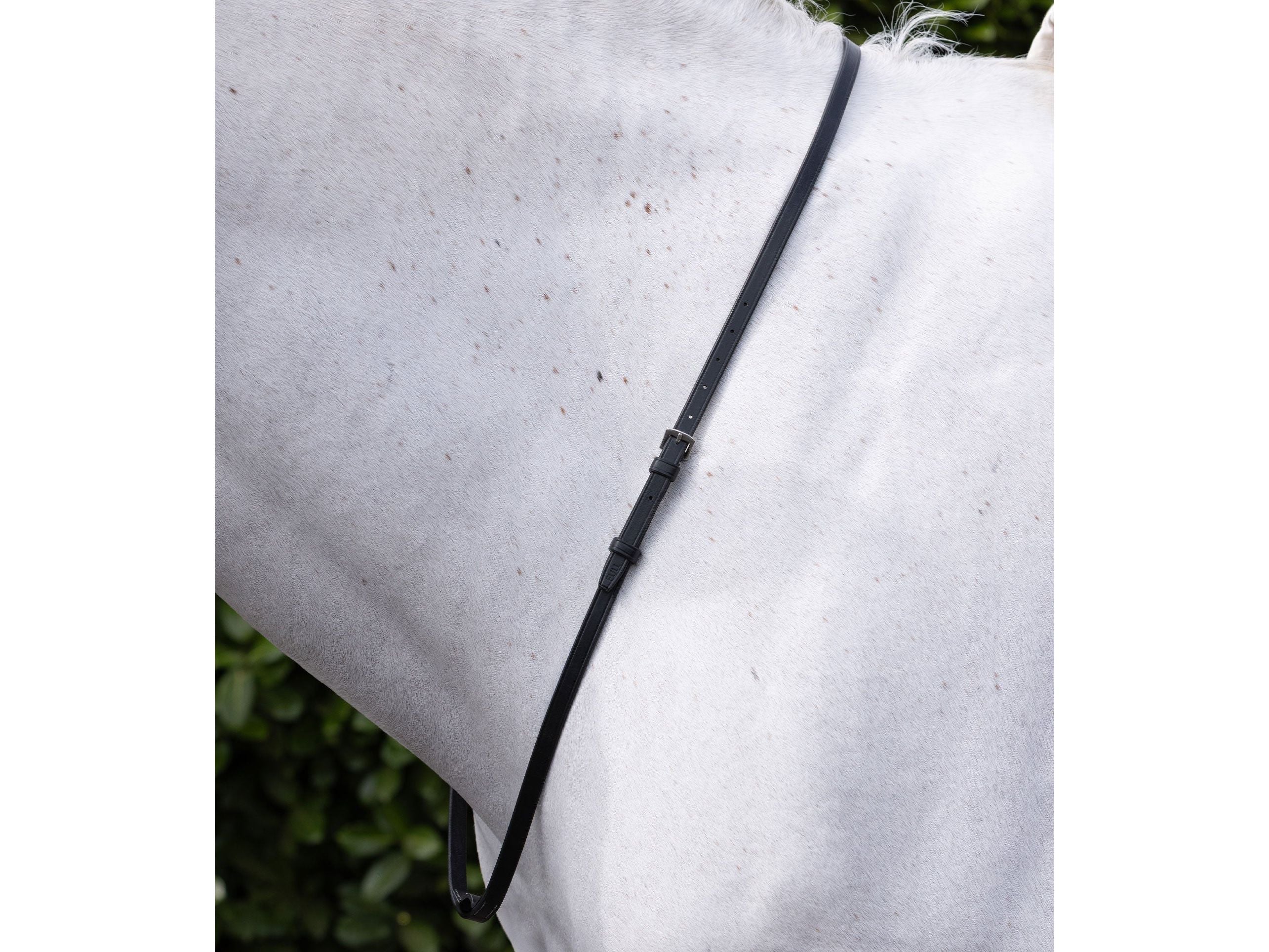 European Neck Strap