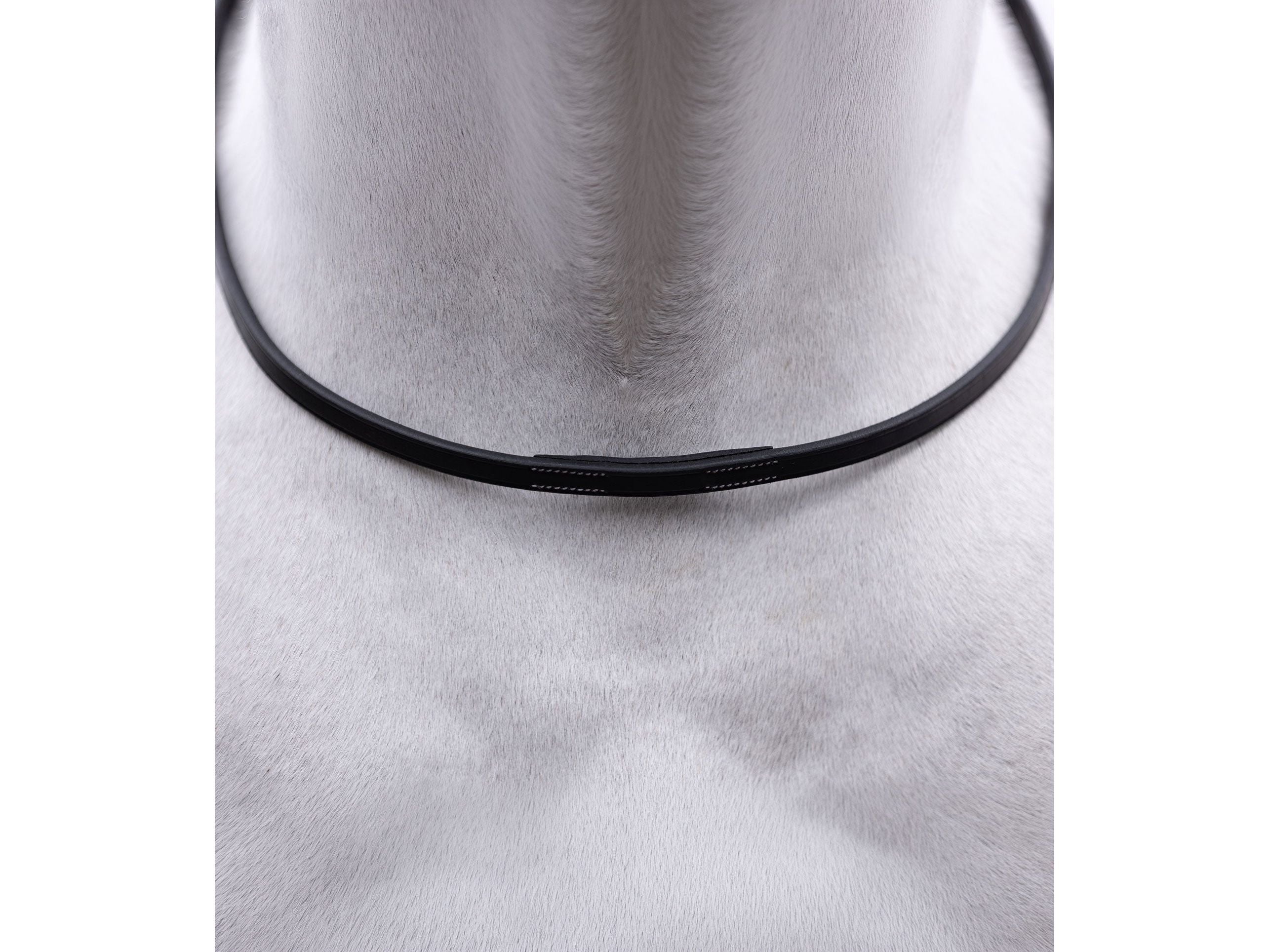 European Neck Strap