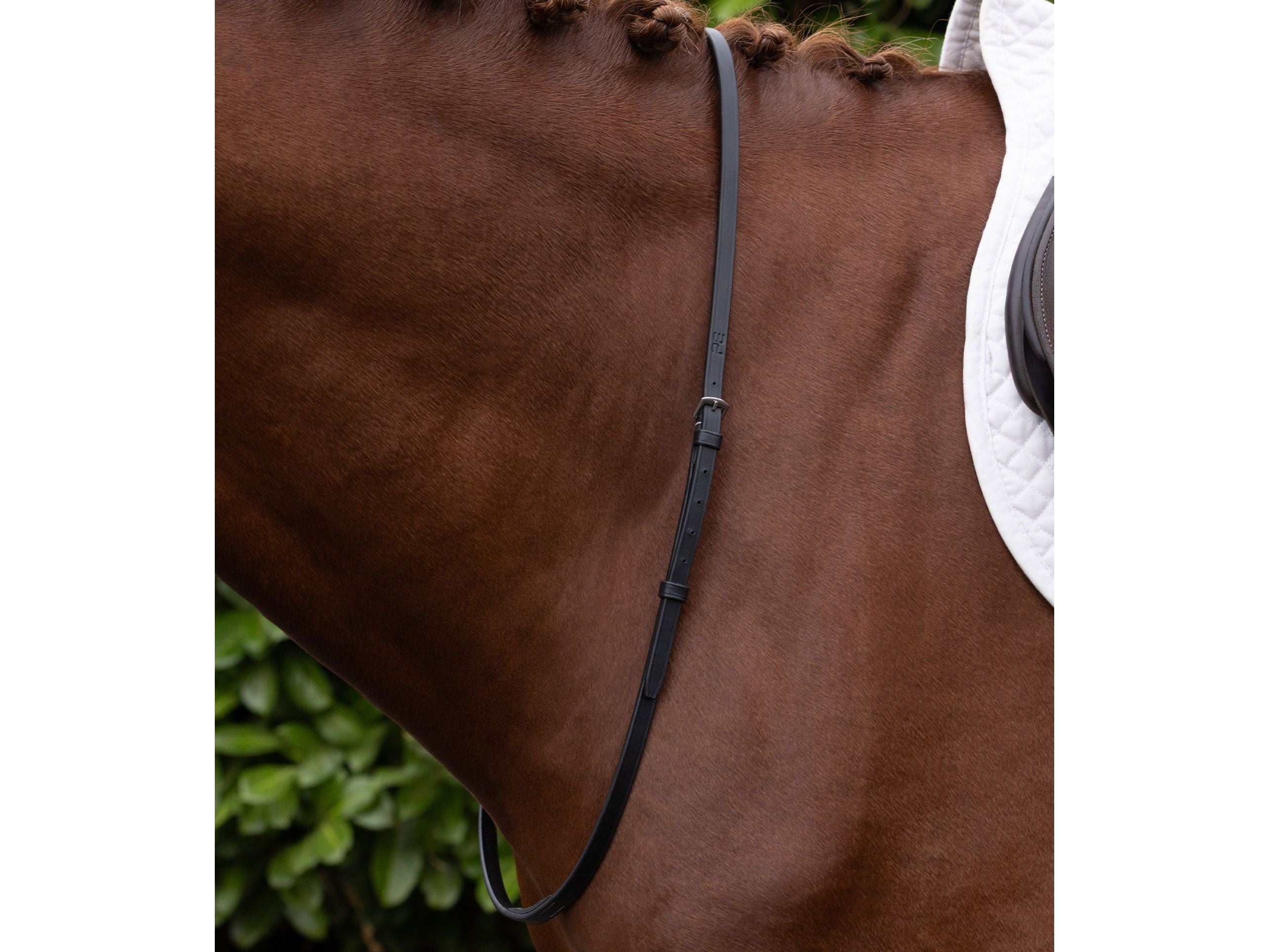 European Neck Strap