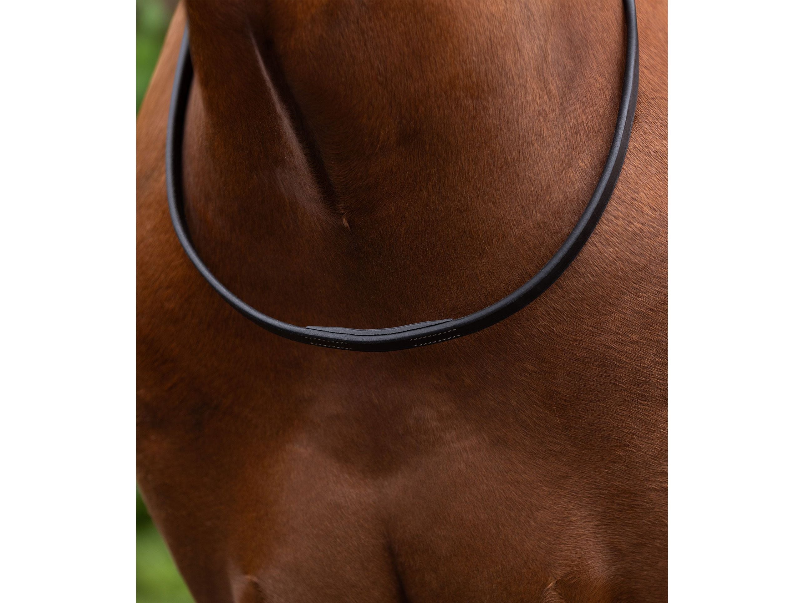 European Neck Strap