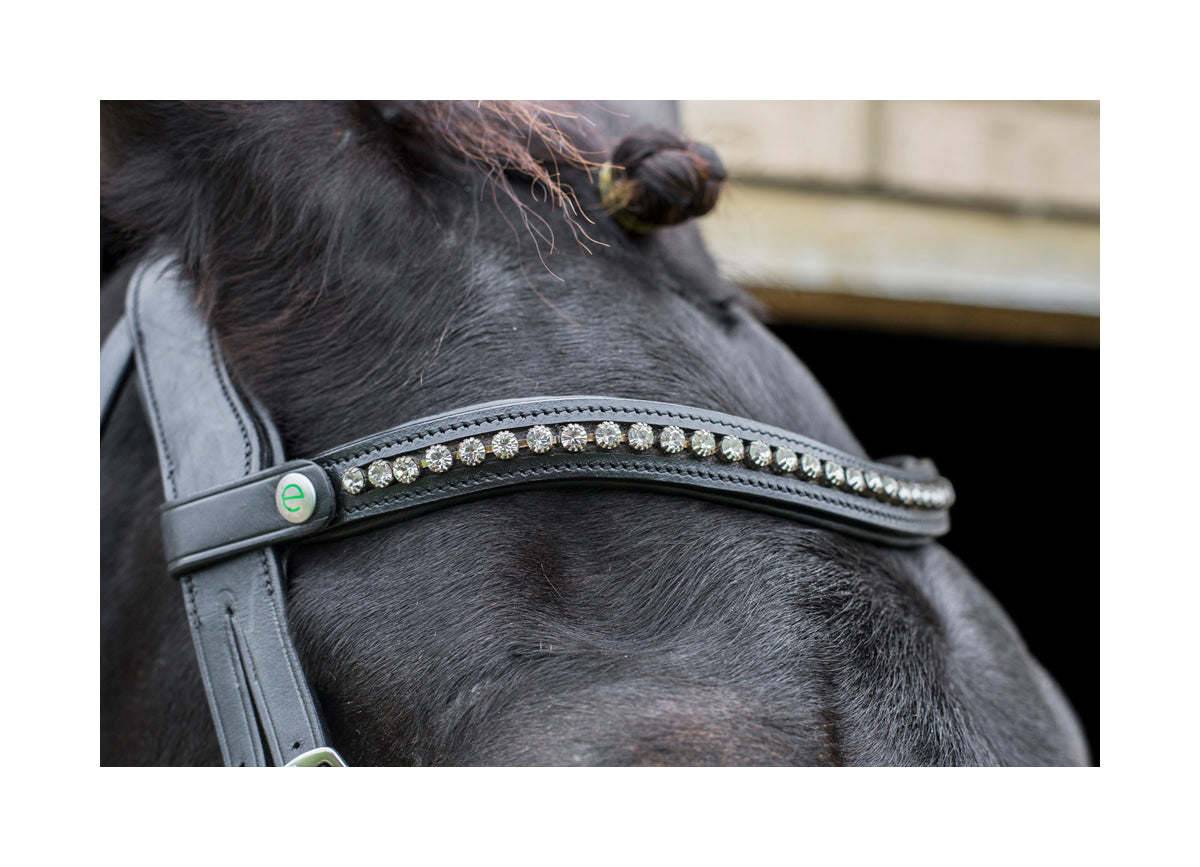 Freedom Browband