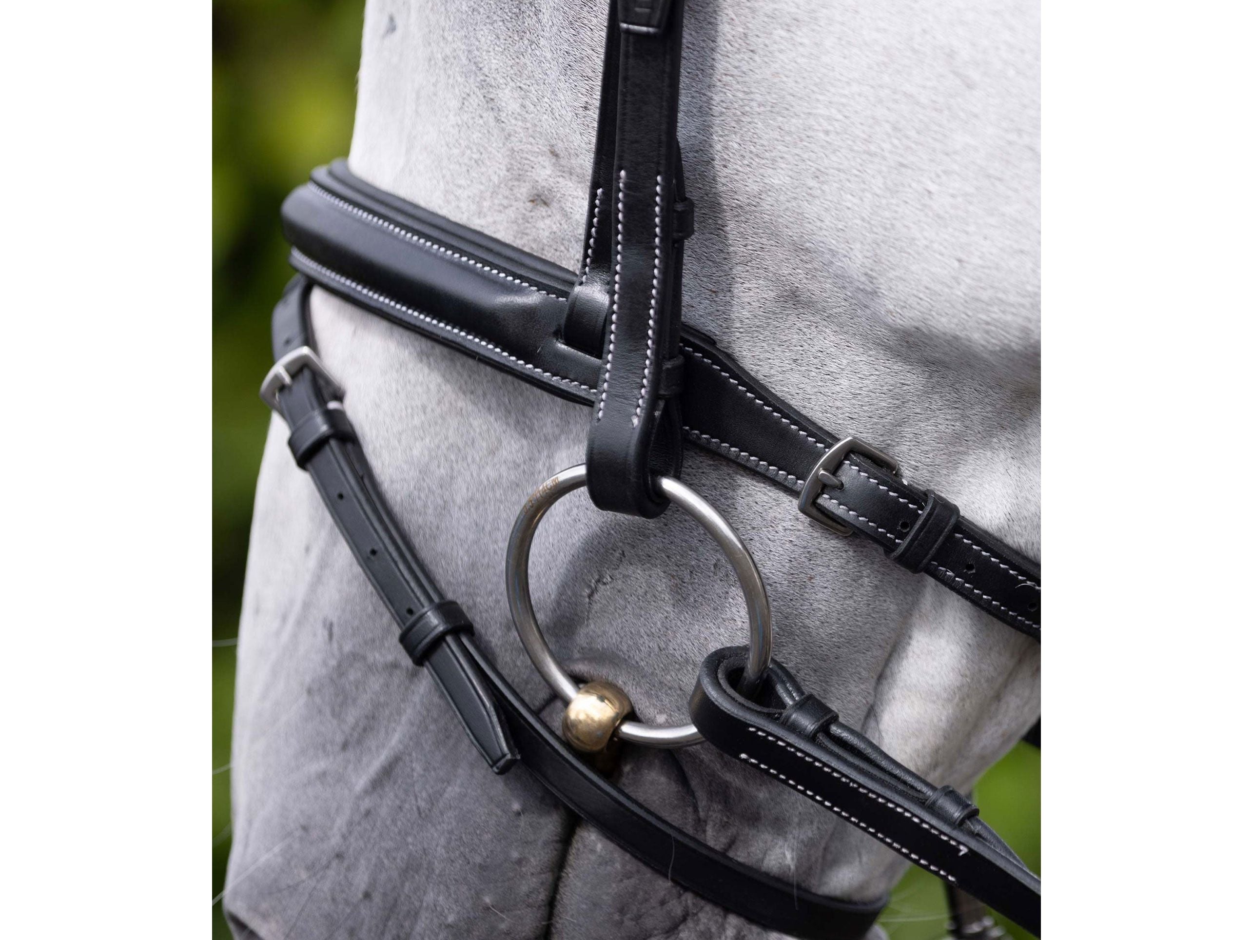 Padded Noseband for Pro Elevator Bridle