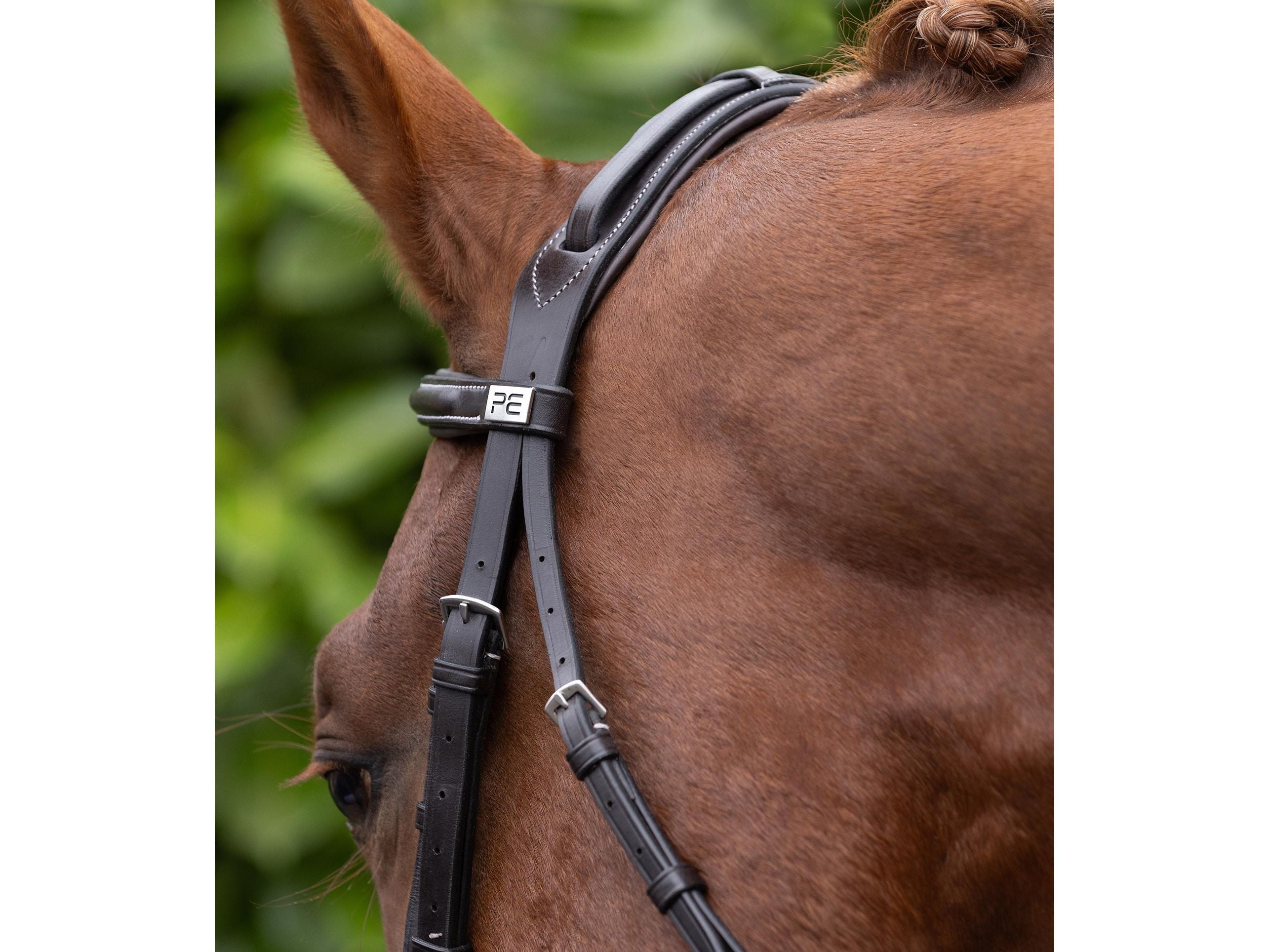 Pro Elevator Bridle Headpiece