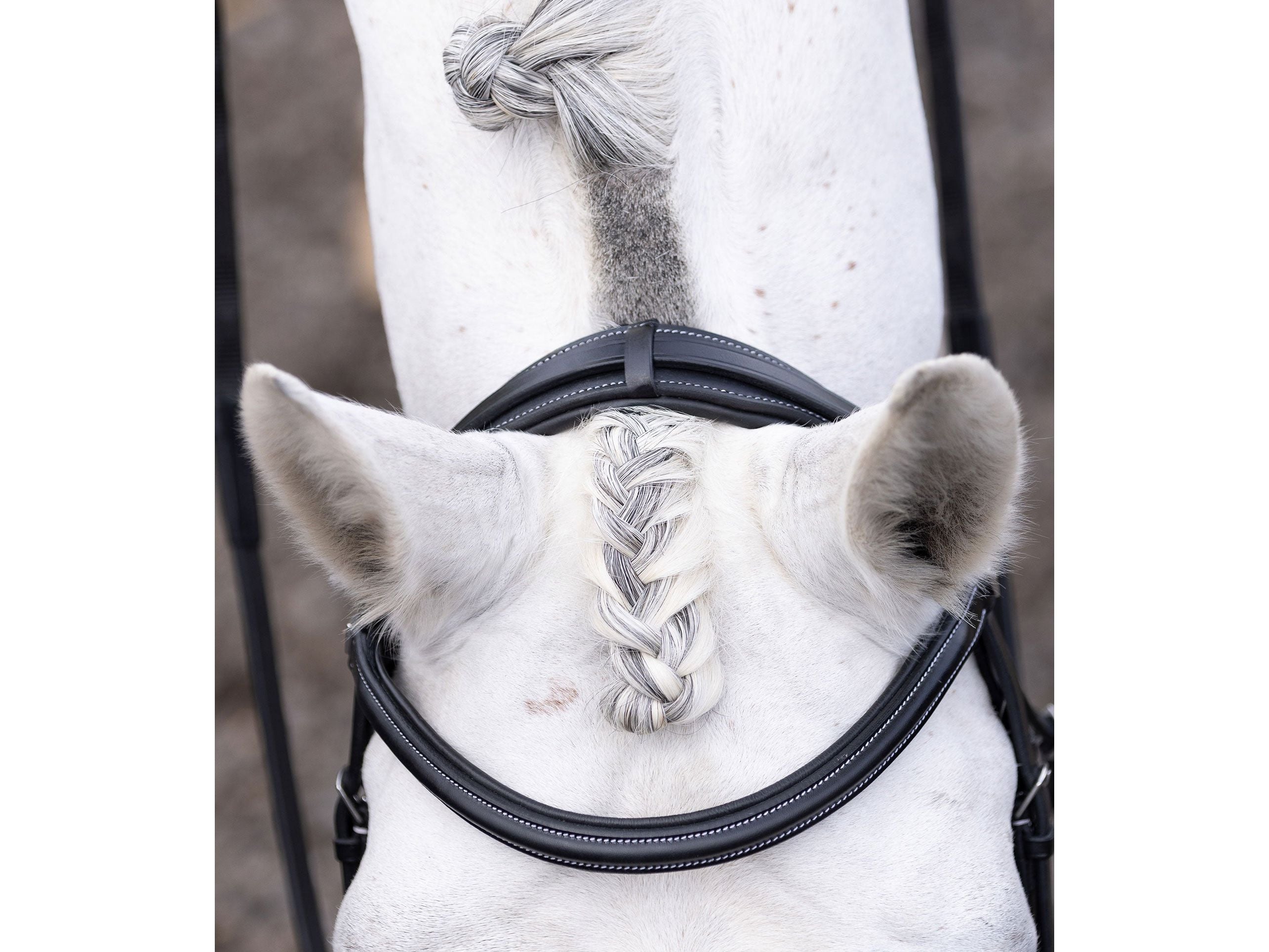 Pro Elevator Bridle Headpiece
