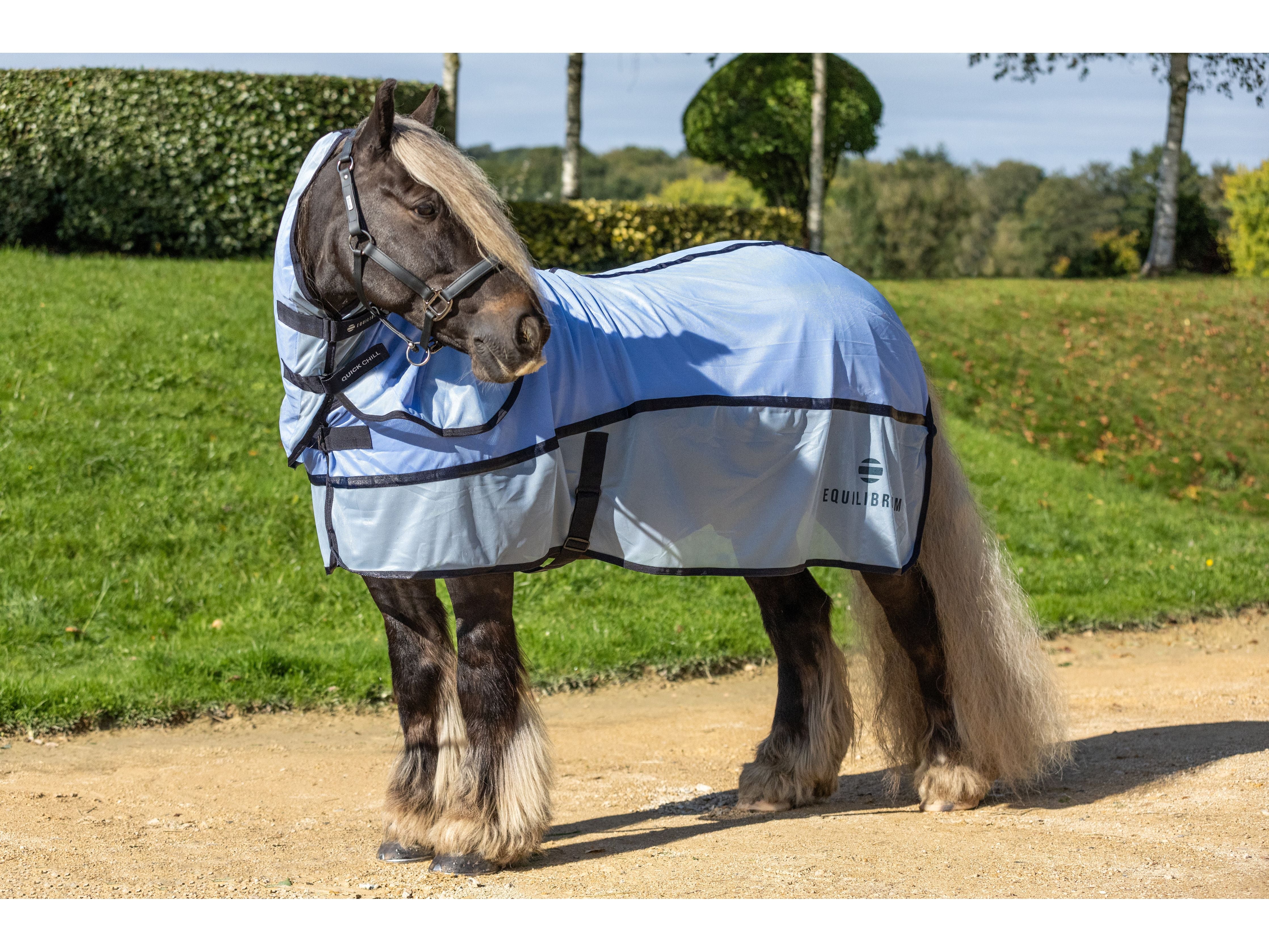 Equilibrium Quick Chill Cool Rug