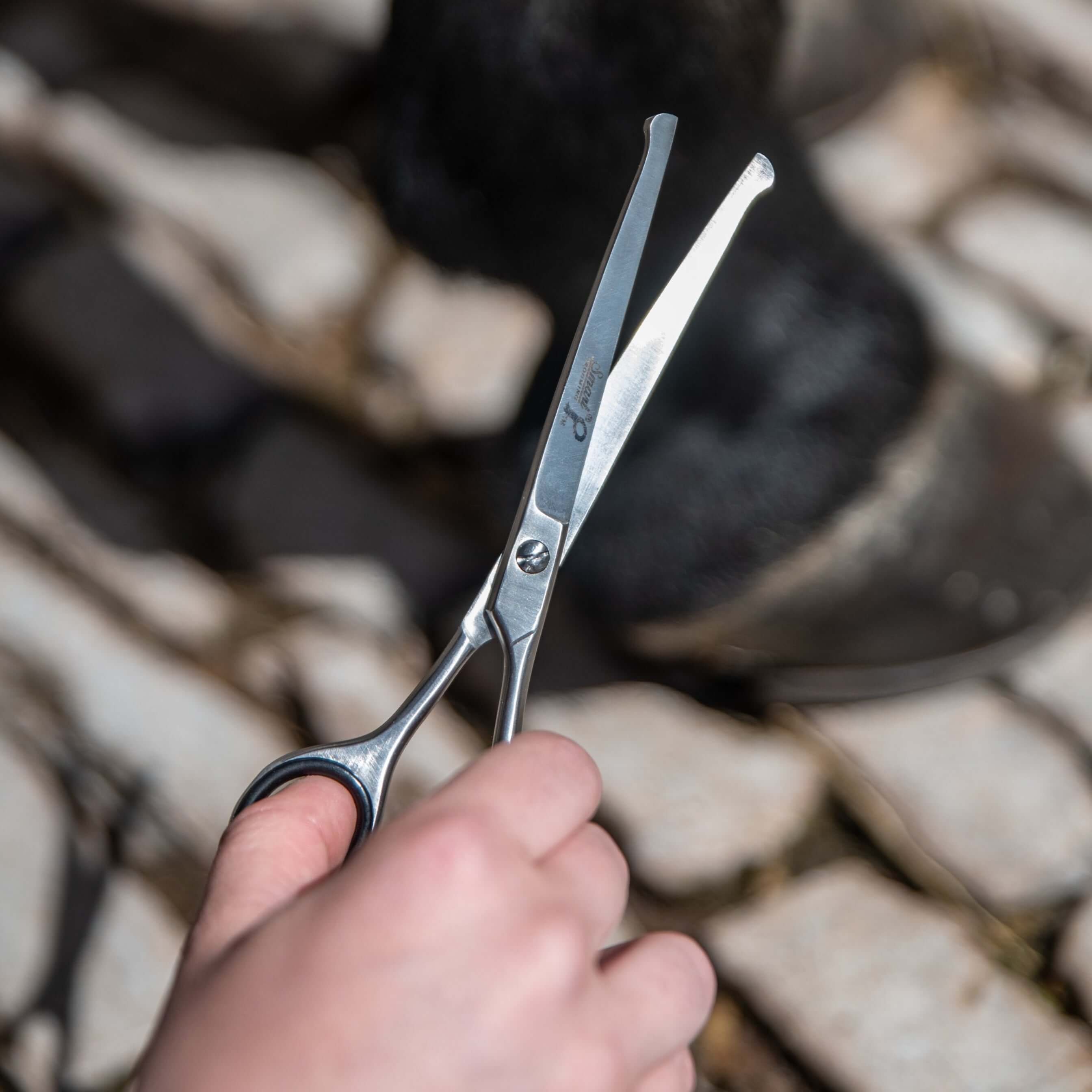 6.5"/16.5cm curved safety scissors - equestrian equipment