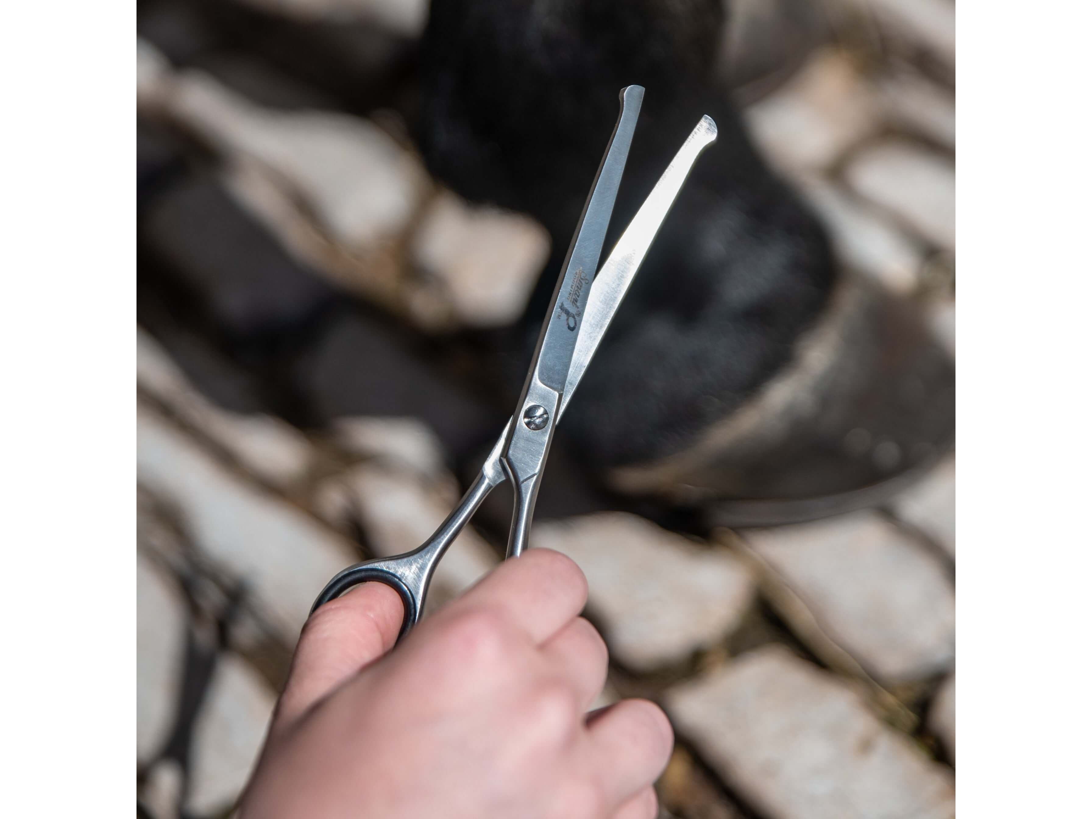 6.5"/16.5cm curved safety scissors - equestrian equipment