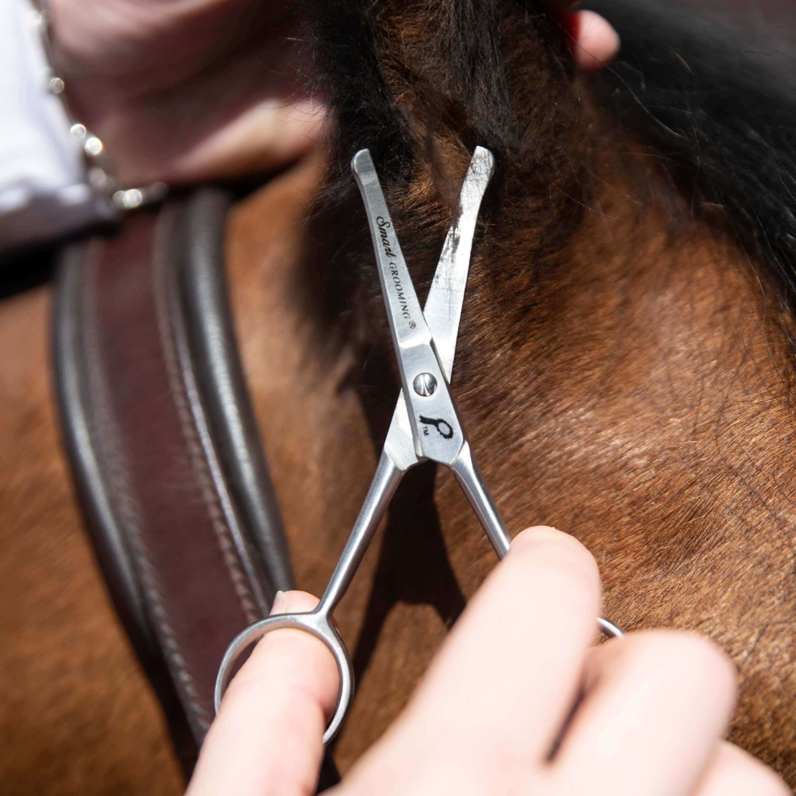 4.5"/11cm curved safety scissors - equestrian equipment