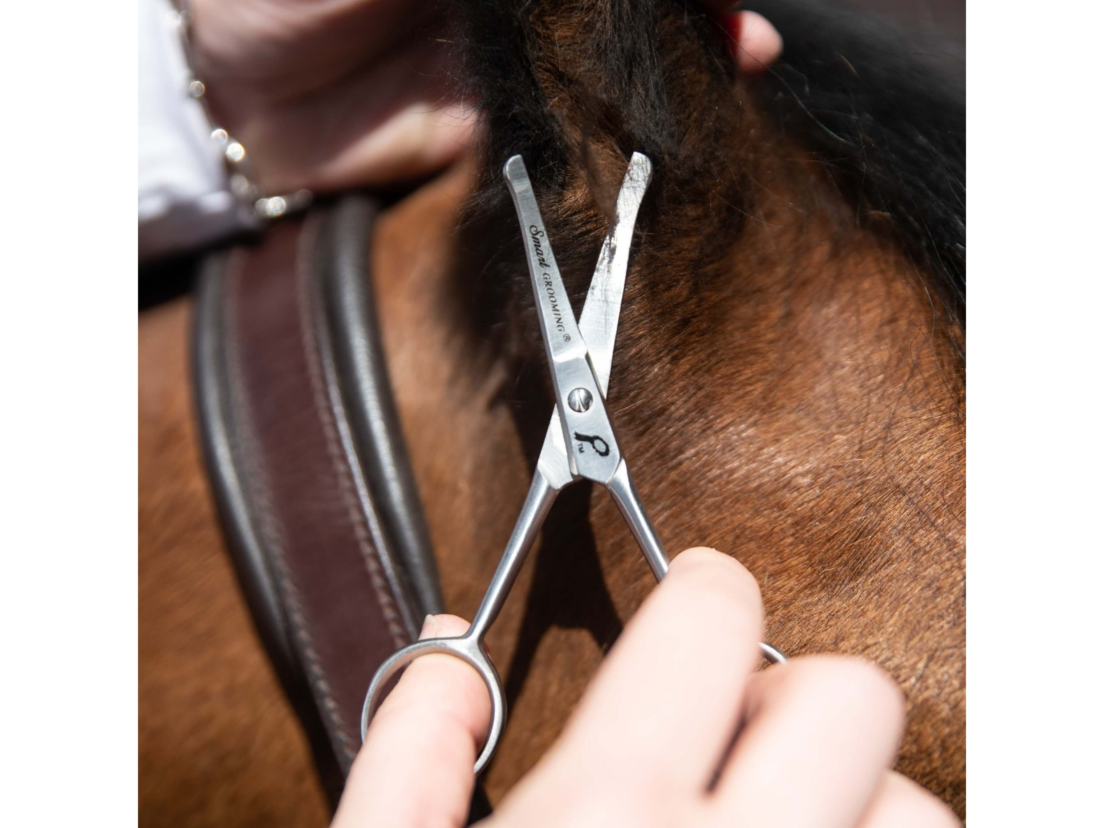 4.5"/11cm curved safety scissors - equestrian equipment