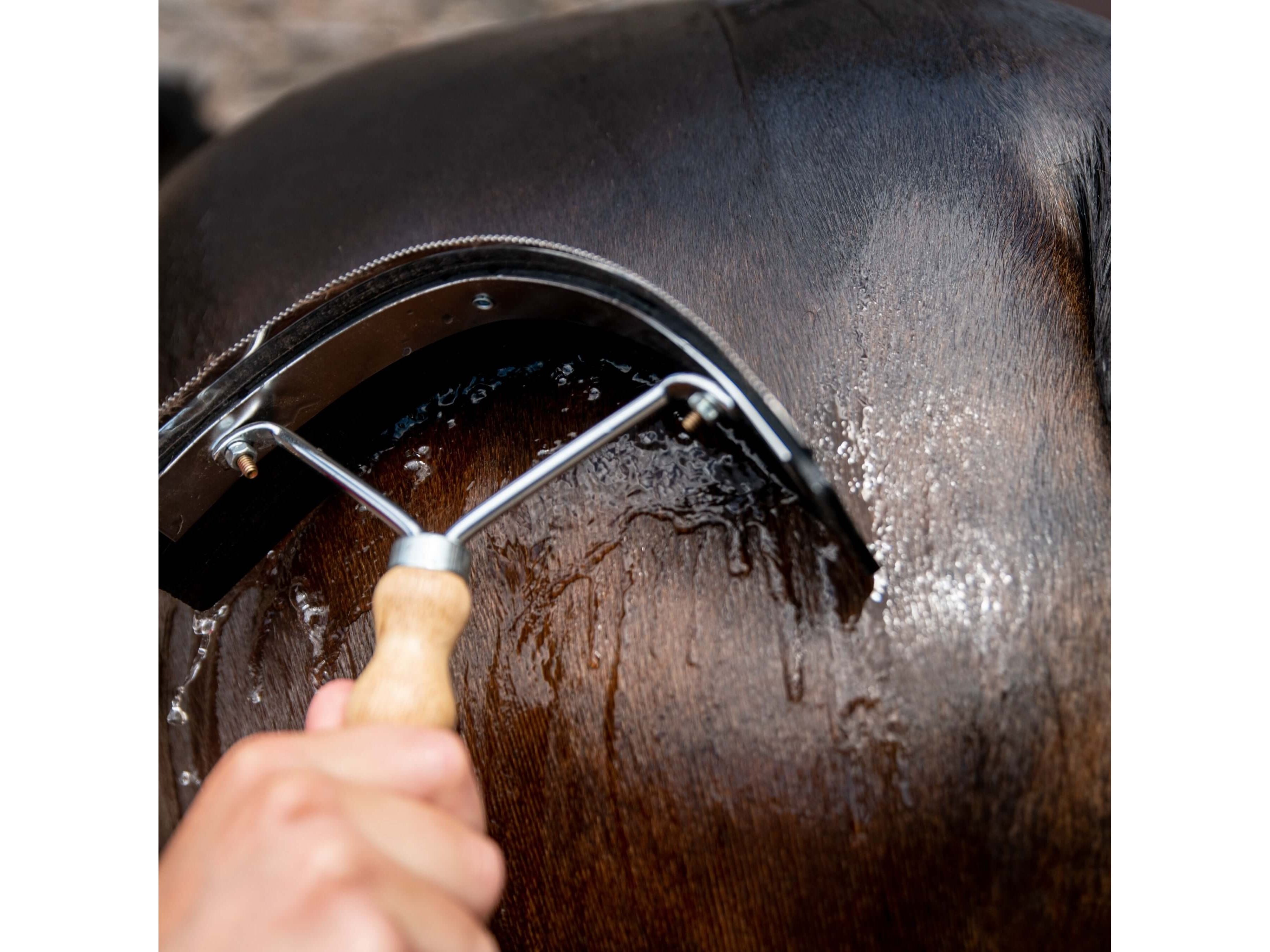 wooden handle sweat scraper - equestrian equipment