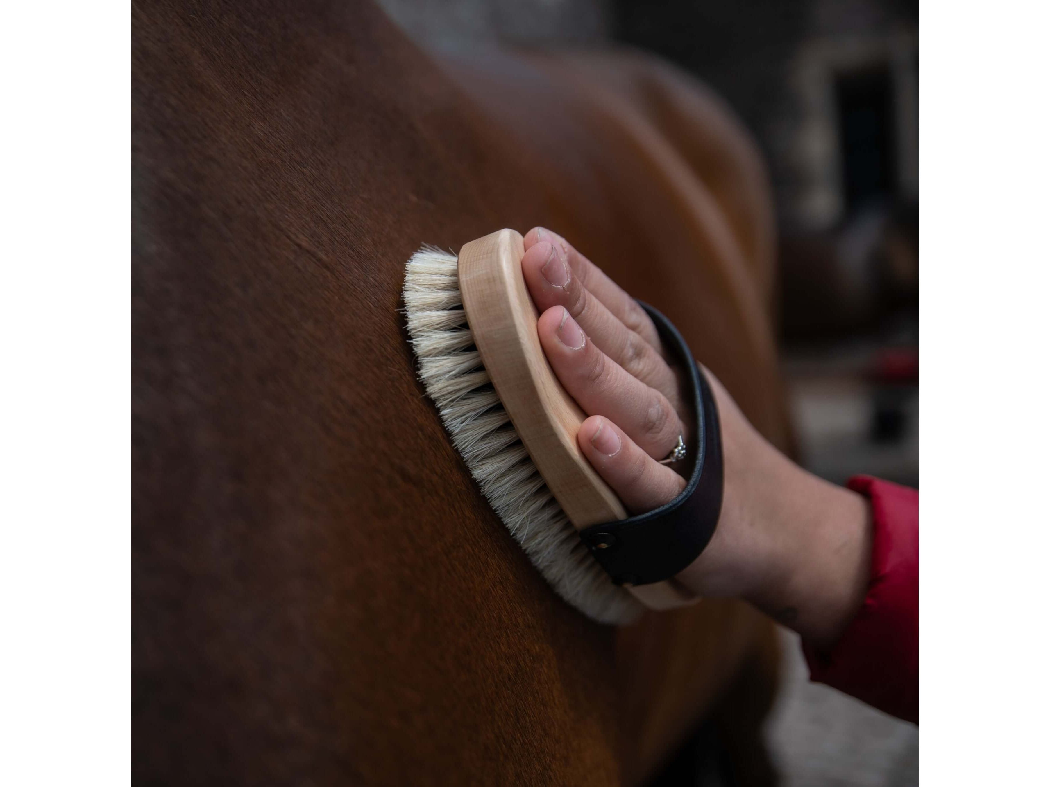 traditional body brush - equestrian equipment