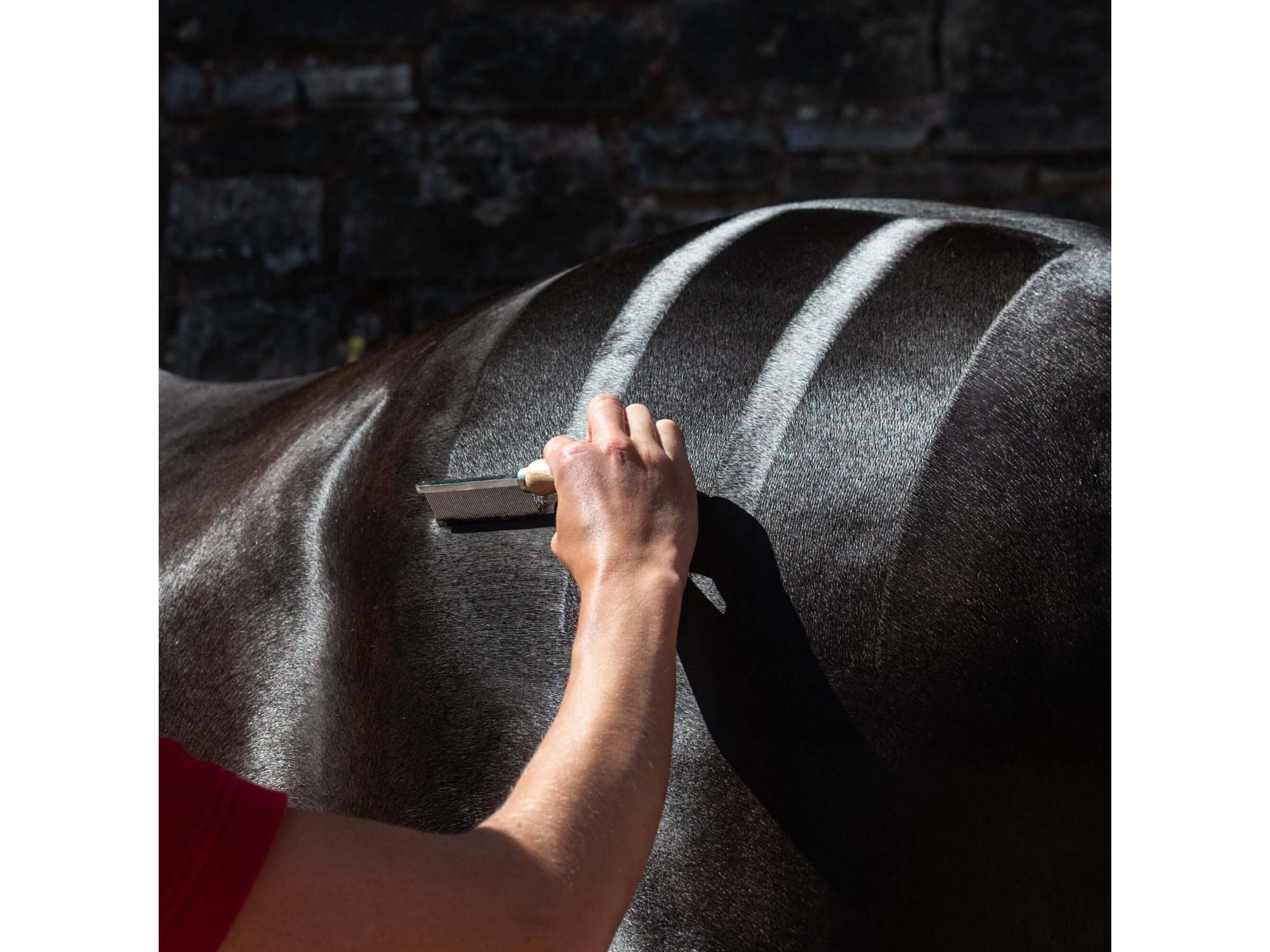 hunter mark comb - equestrian equipment