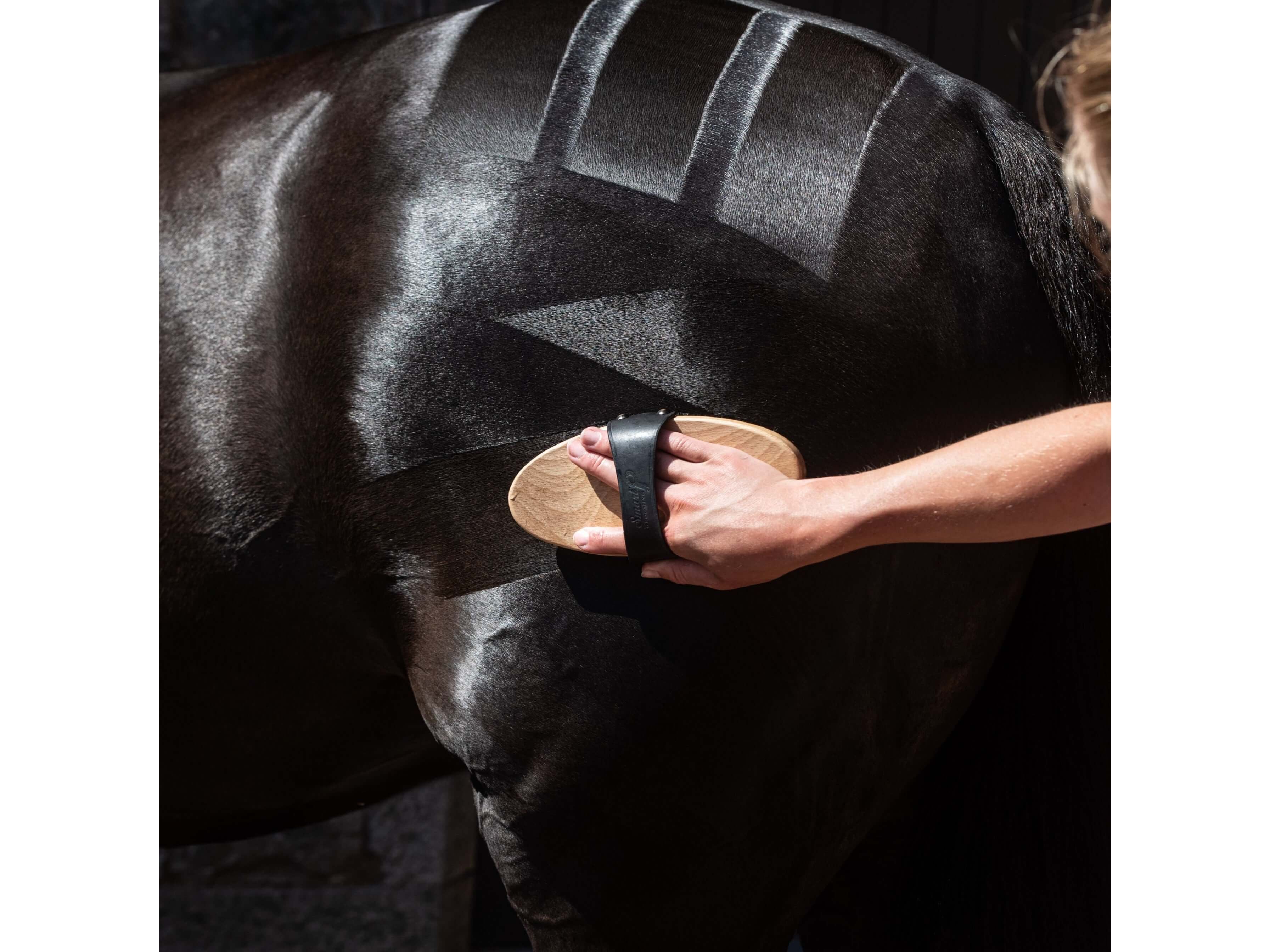 quarter marking brush - equestrian equipment