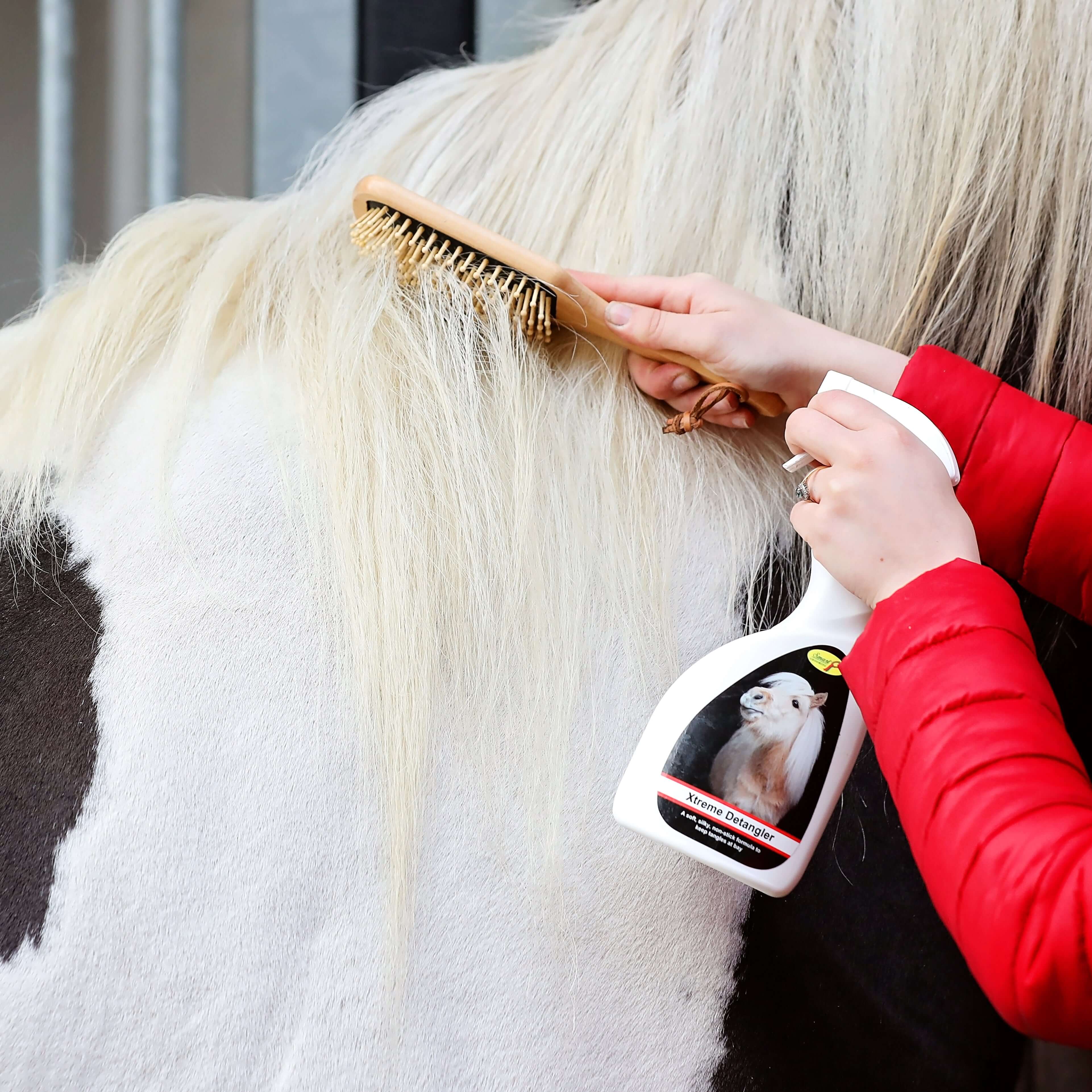 xtreme detangler - equestrian equipment