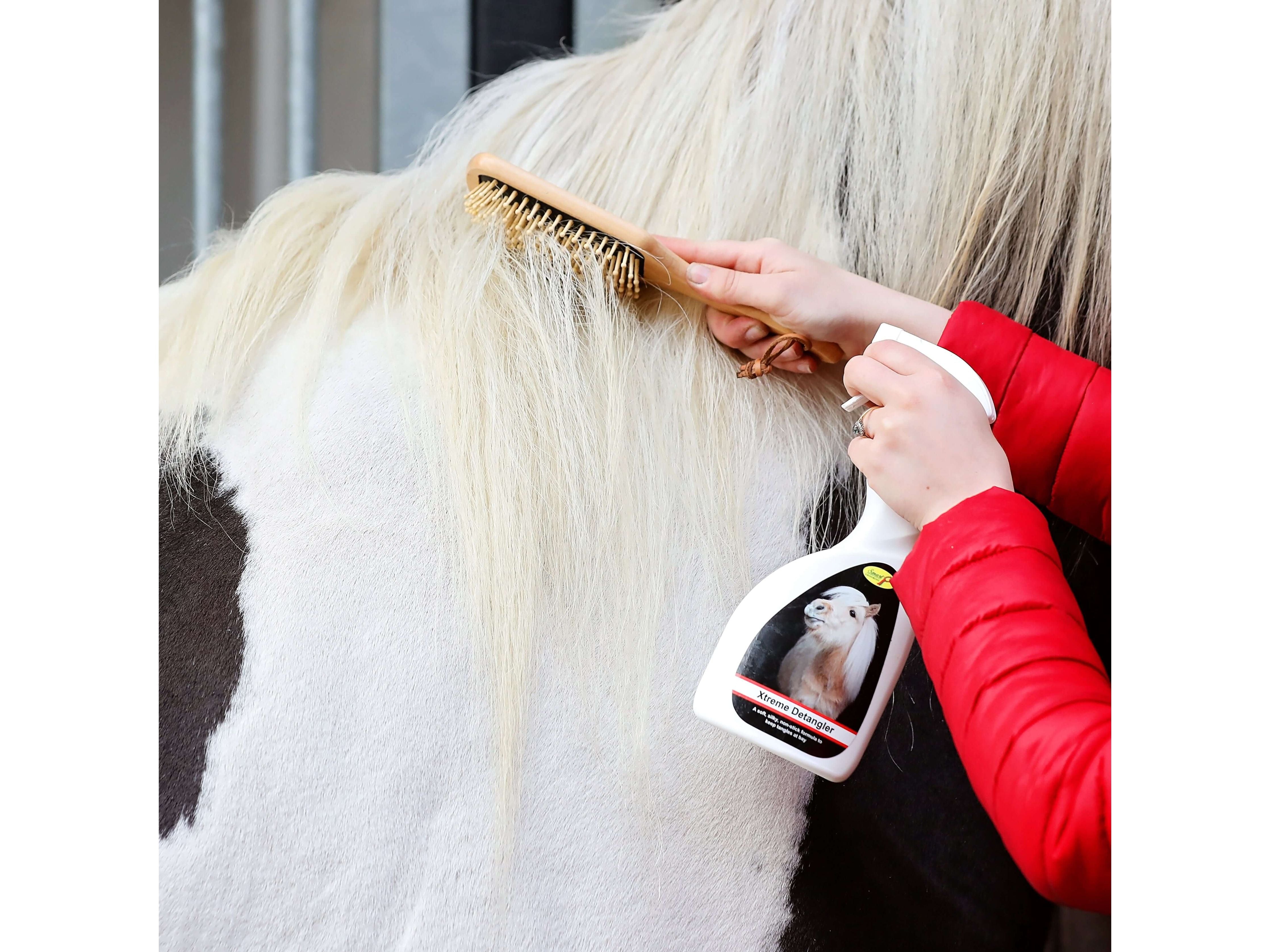 xtreme detangler - equestrian equipment