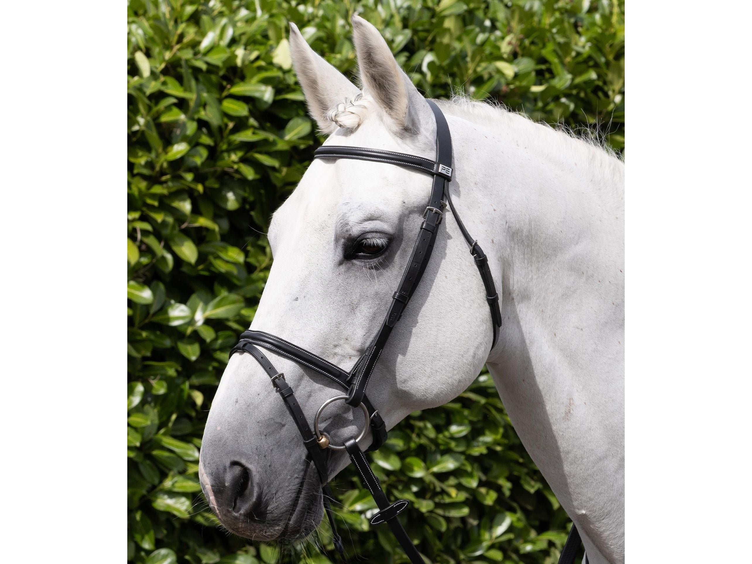 Raised Jumping Bridle with Flash Noseband