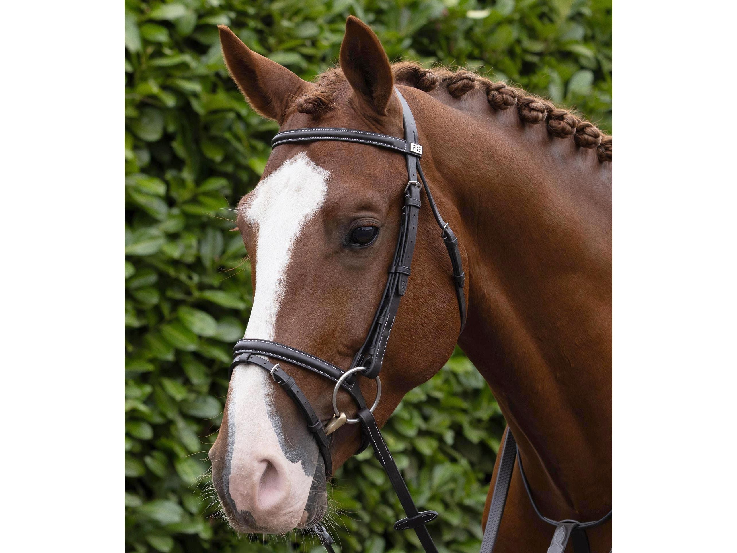 Raised Jumping Bridle with Flash Noseband