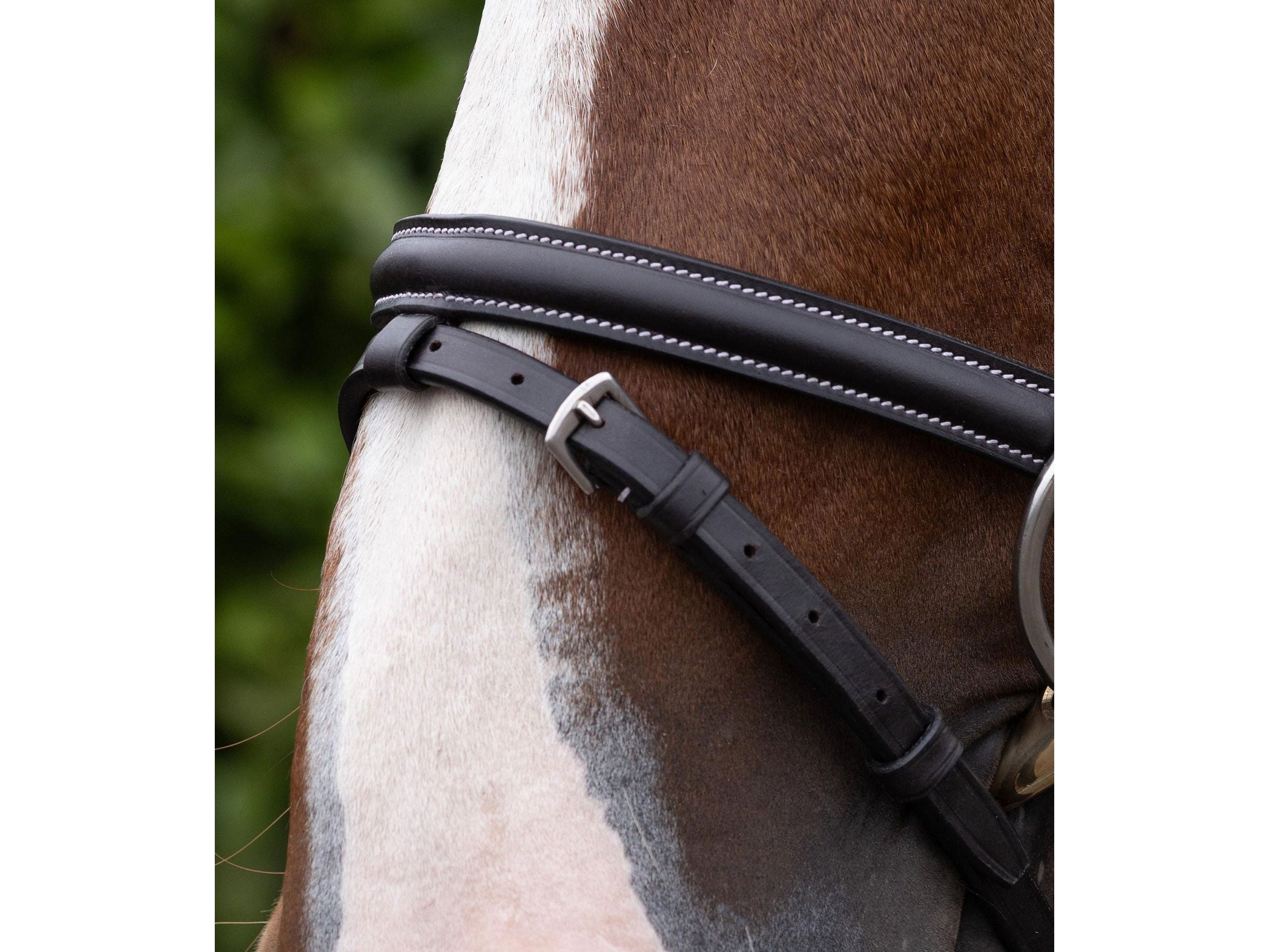Raised Jumping Noseband