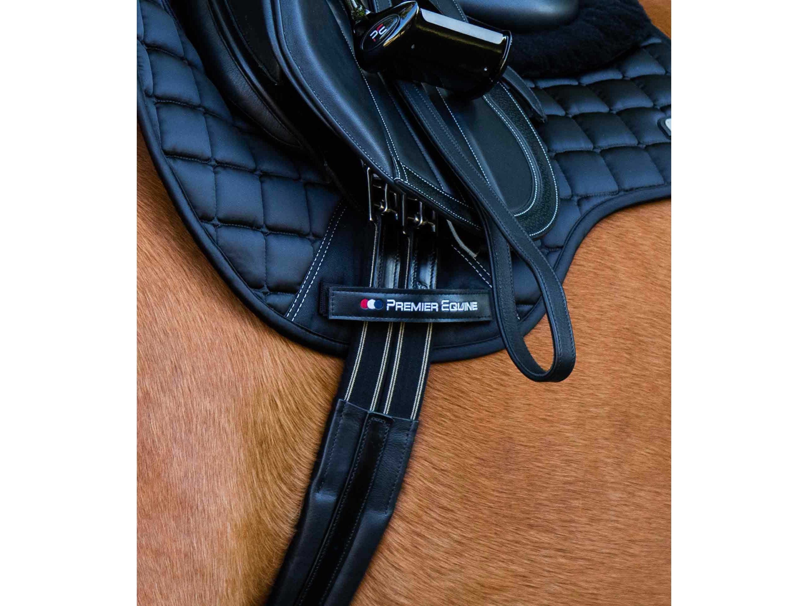 Rapone Leather Girth