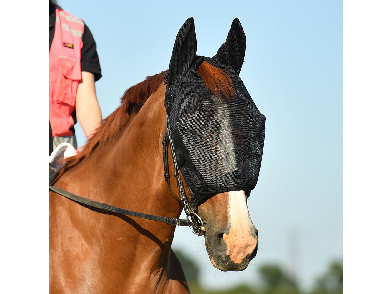 Equilibrium Net Relief Riding Mask