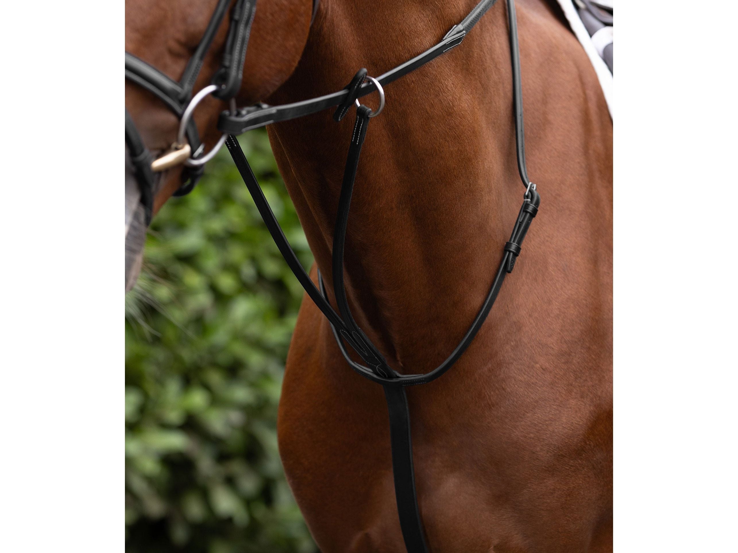 European Running Martingale