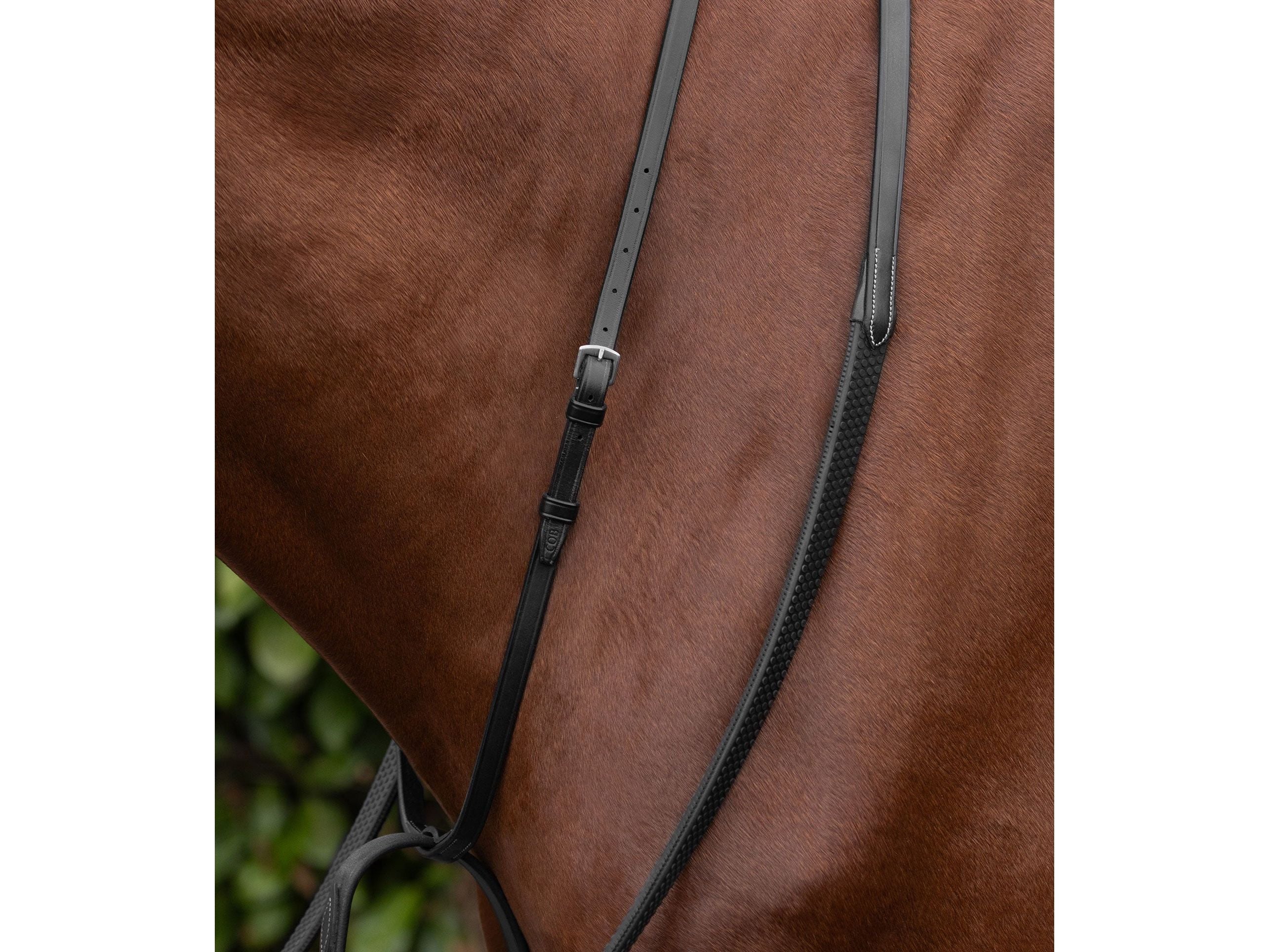 European Running Martingale