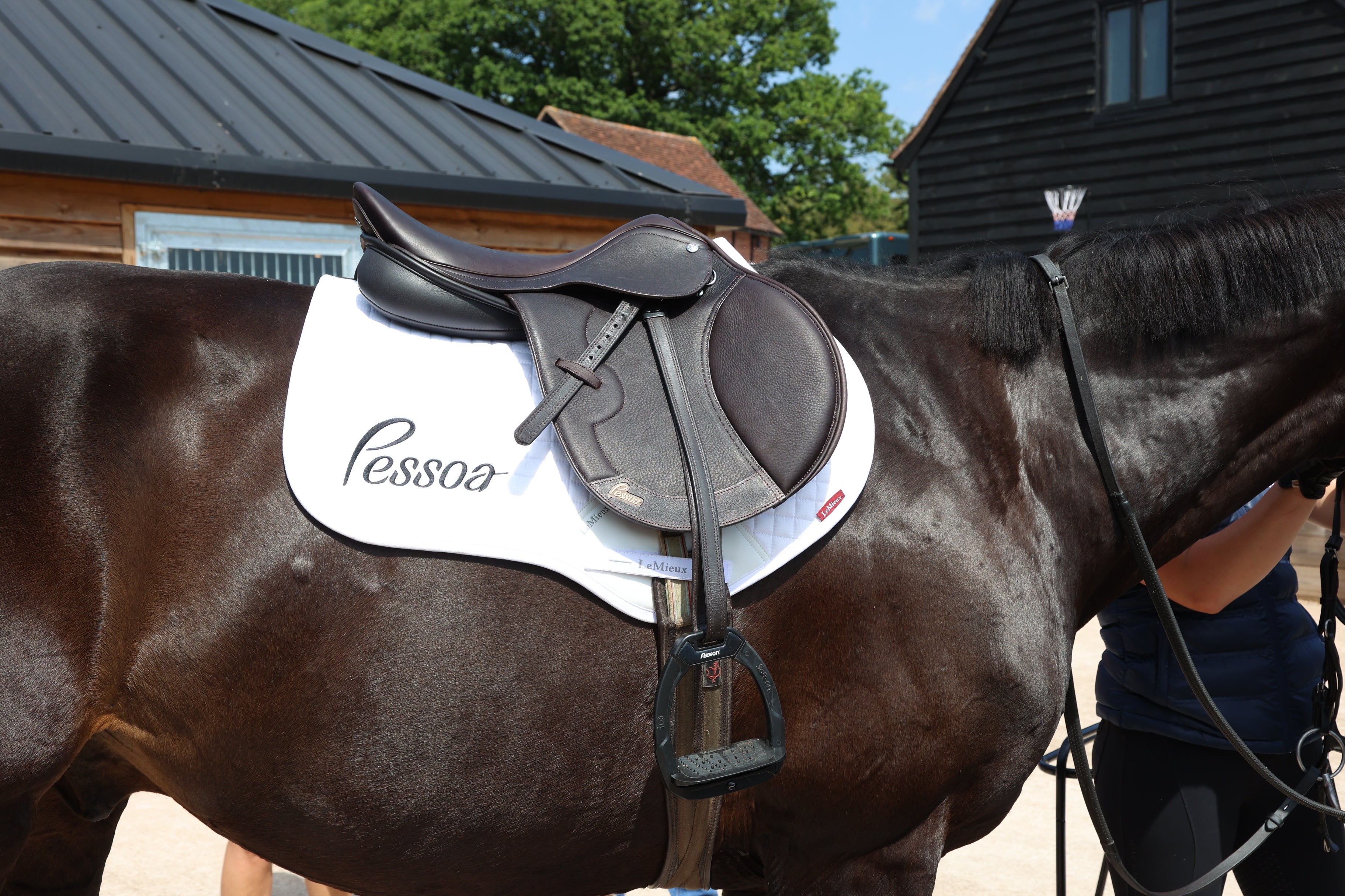 Professional Saddle Fitting Service