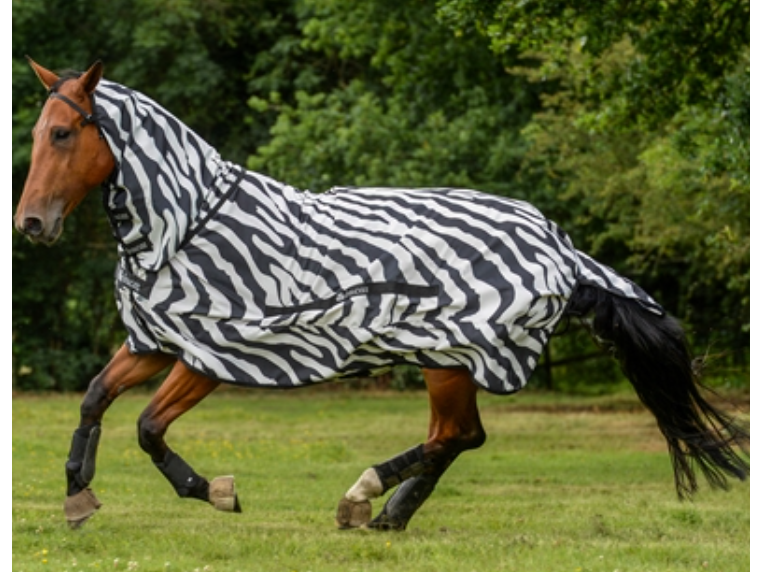Bucas Sweet-Itch Zebra